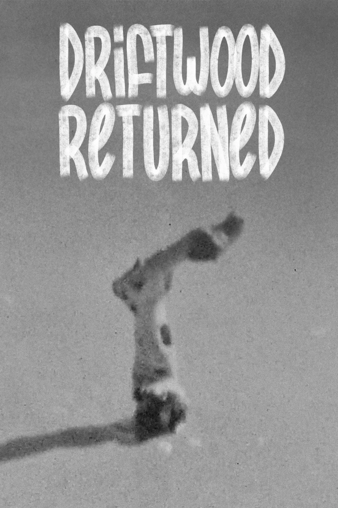 Plakat filmowy "Driftwood Returned"