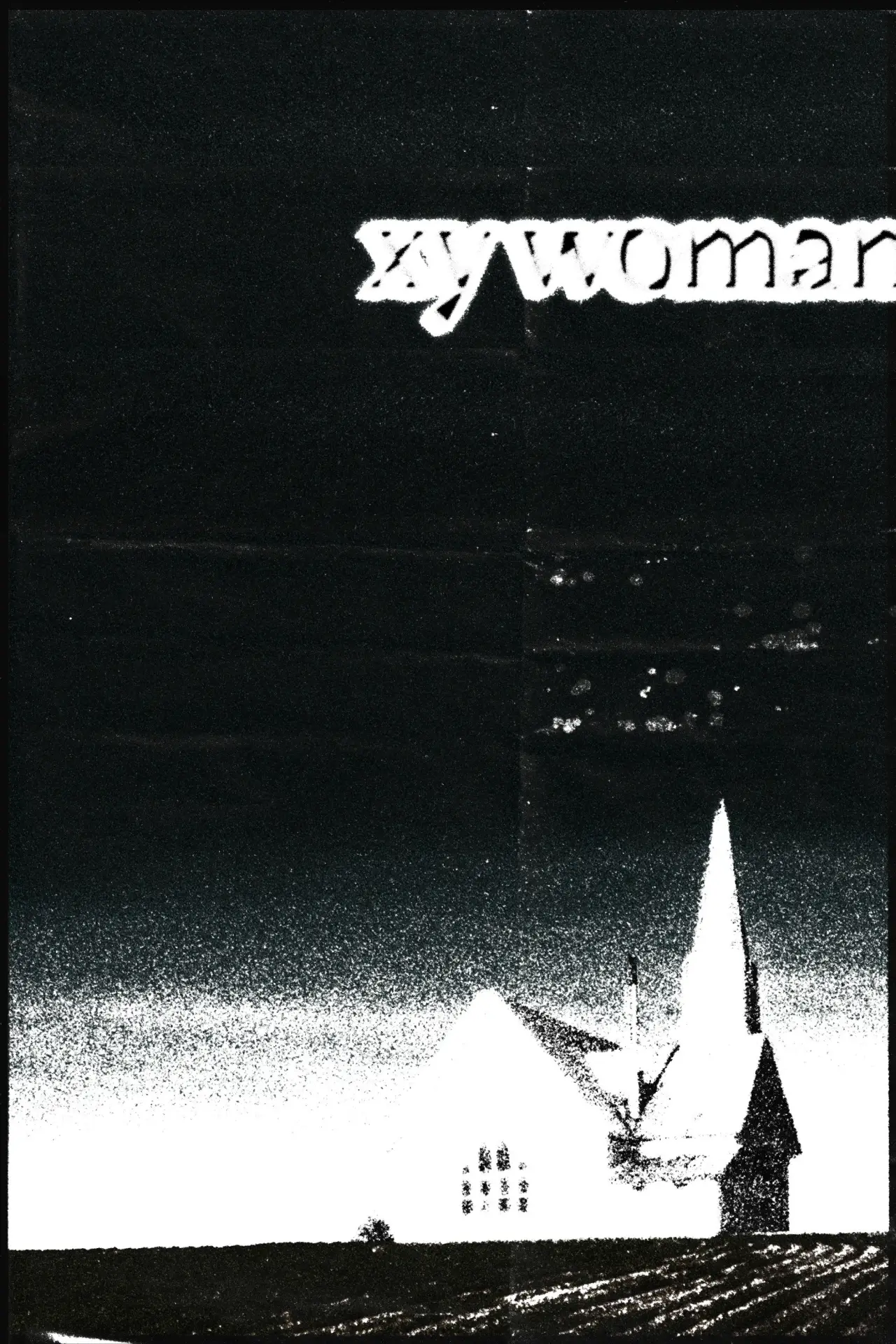 Plakat filmowy "XY Woman"