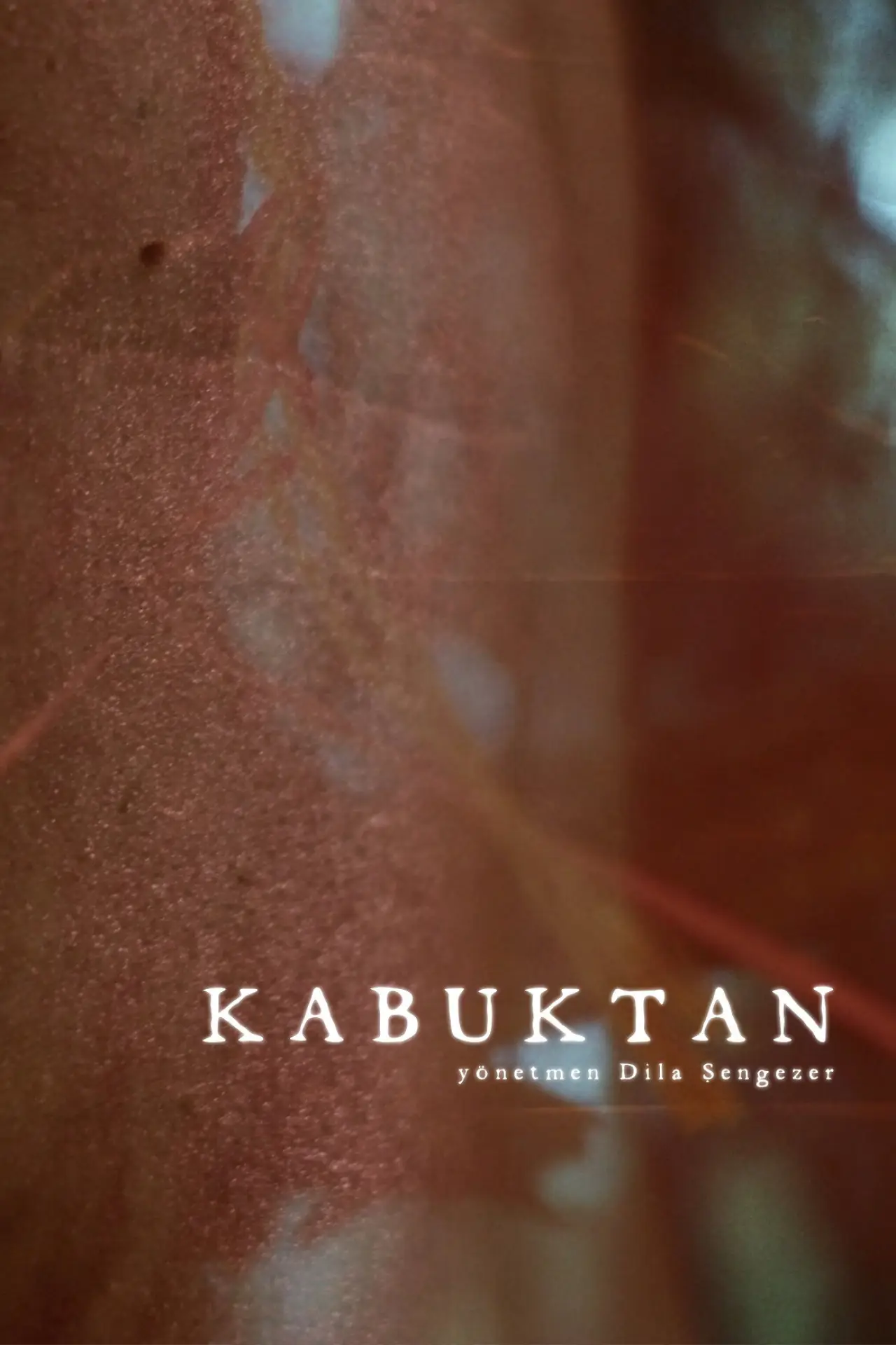 Plakat filmowy "Kabuktan"