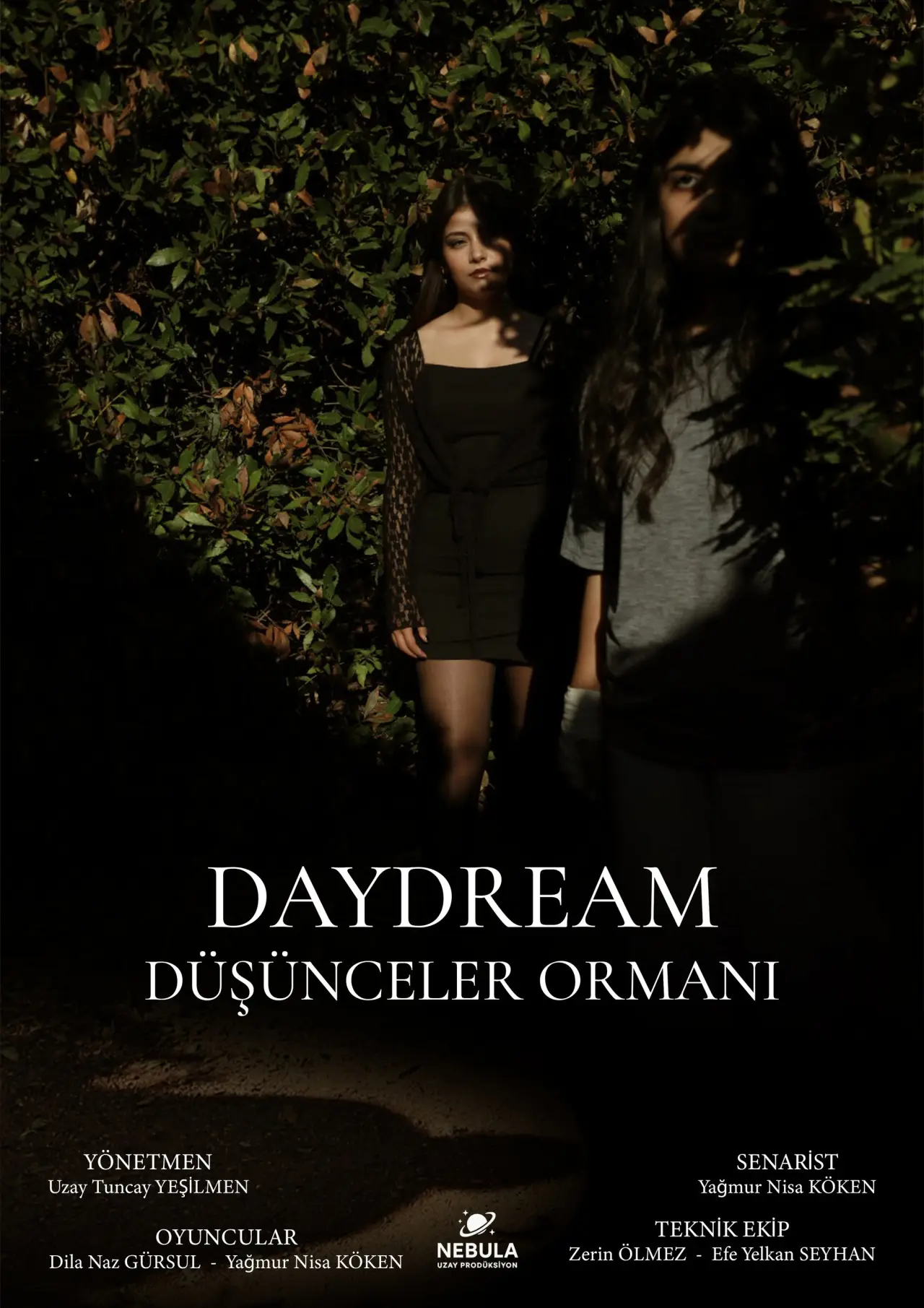 Plakat filmowy "Daydream"