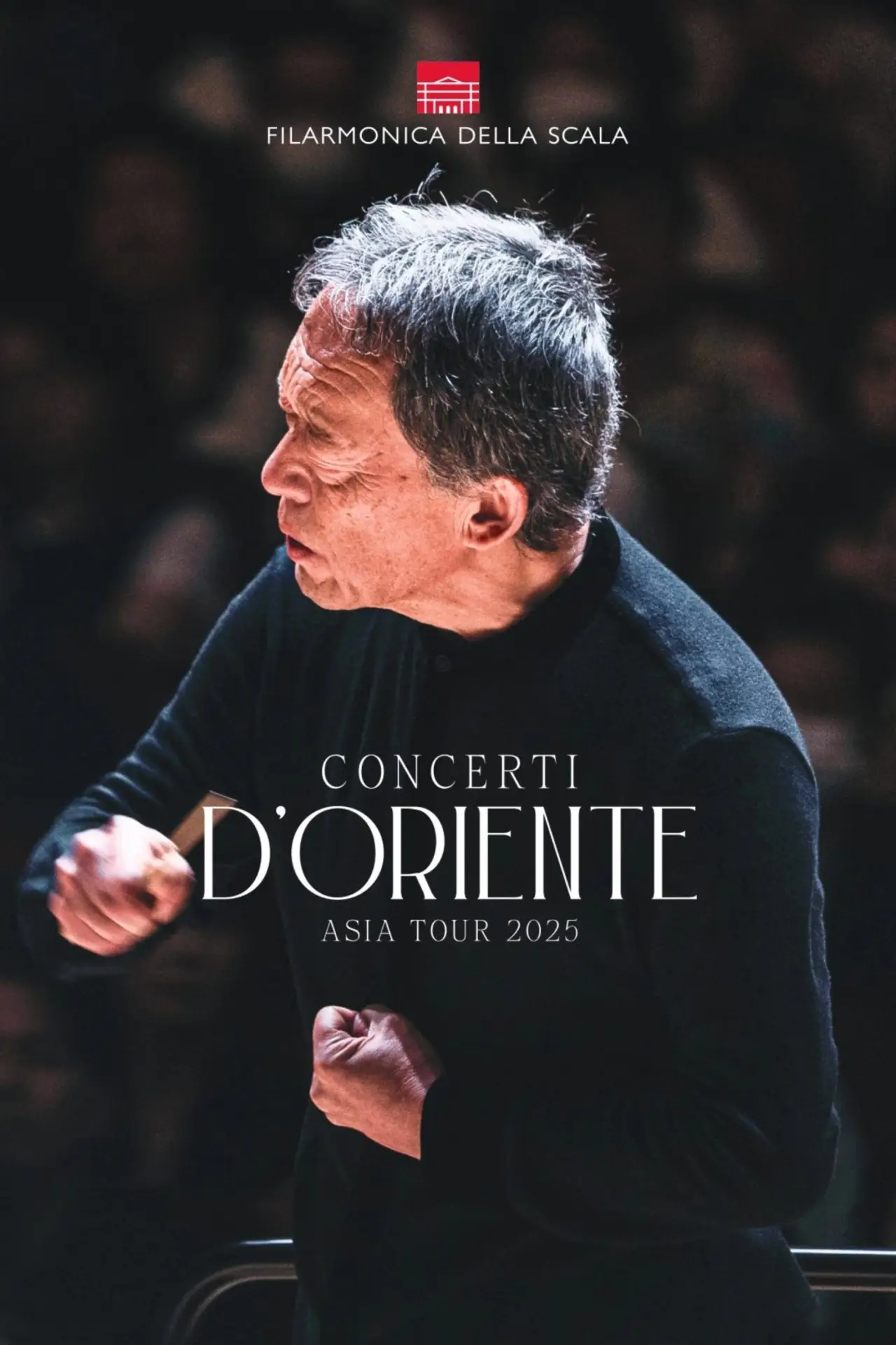 Plakat filmowy "Concerti d