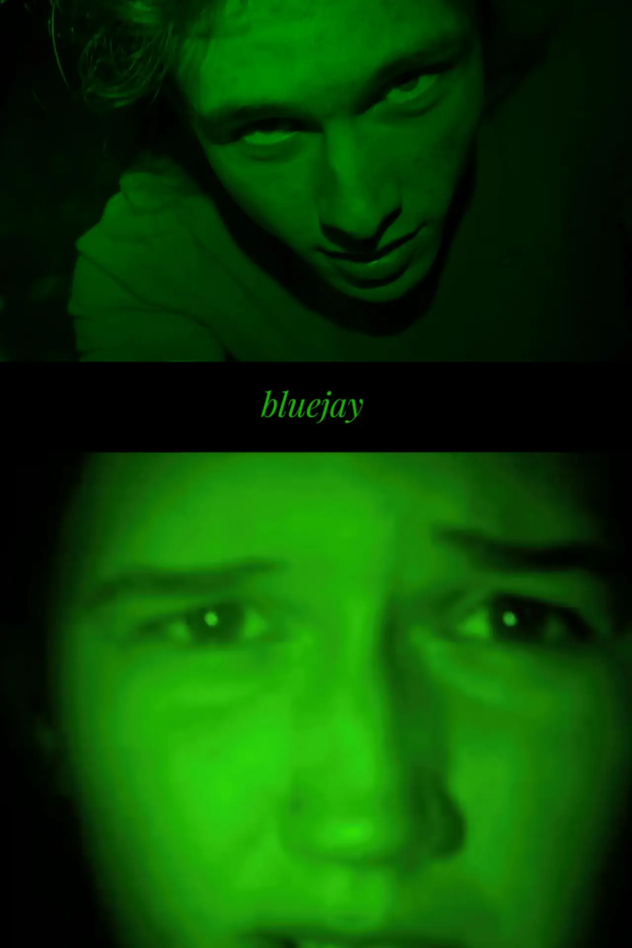 Plakat filmowy "bluejay"