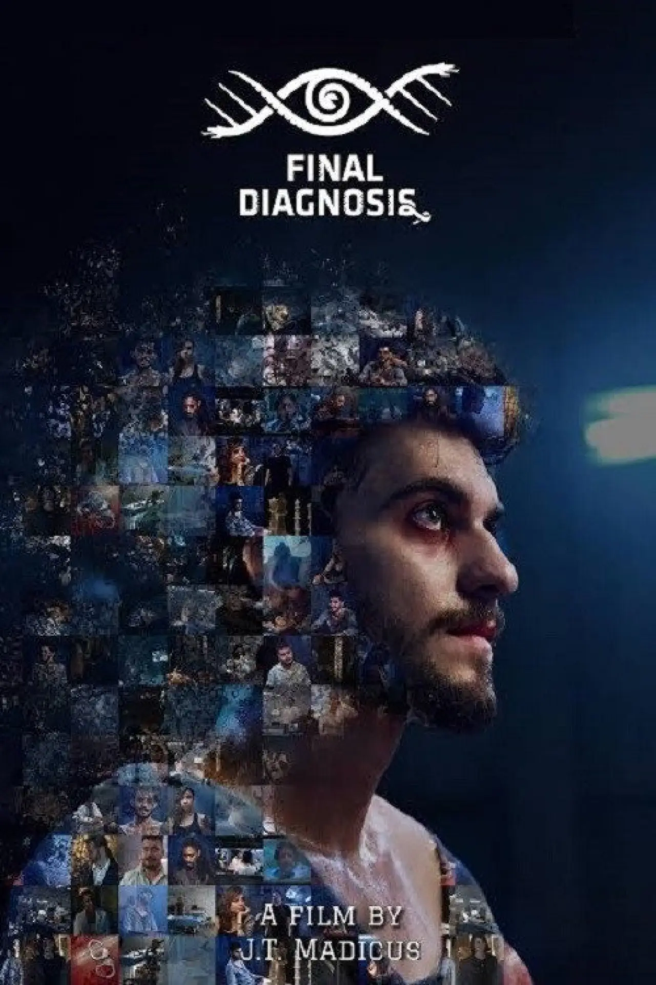 Plakat filmowy "Final Diagnosis"