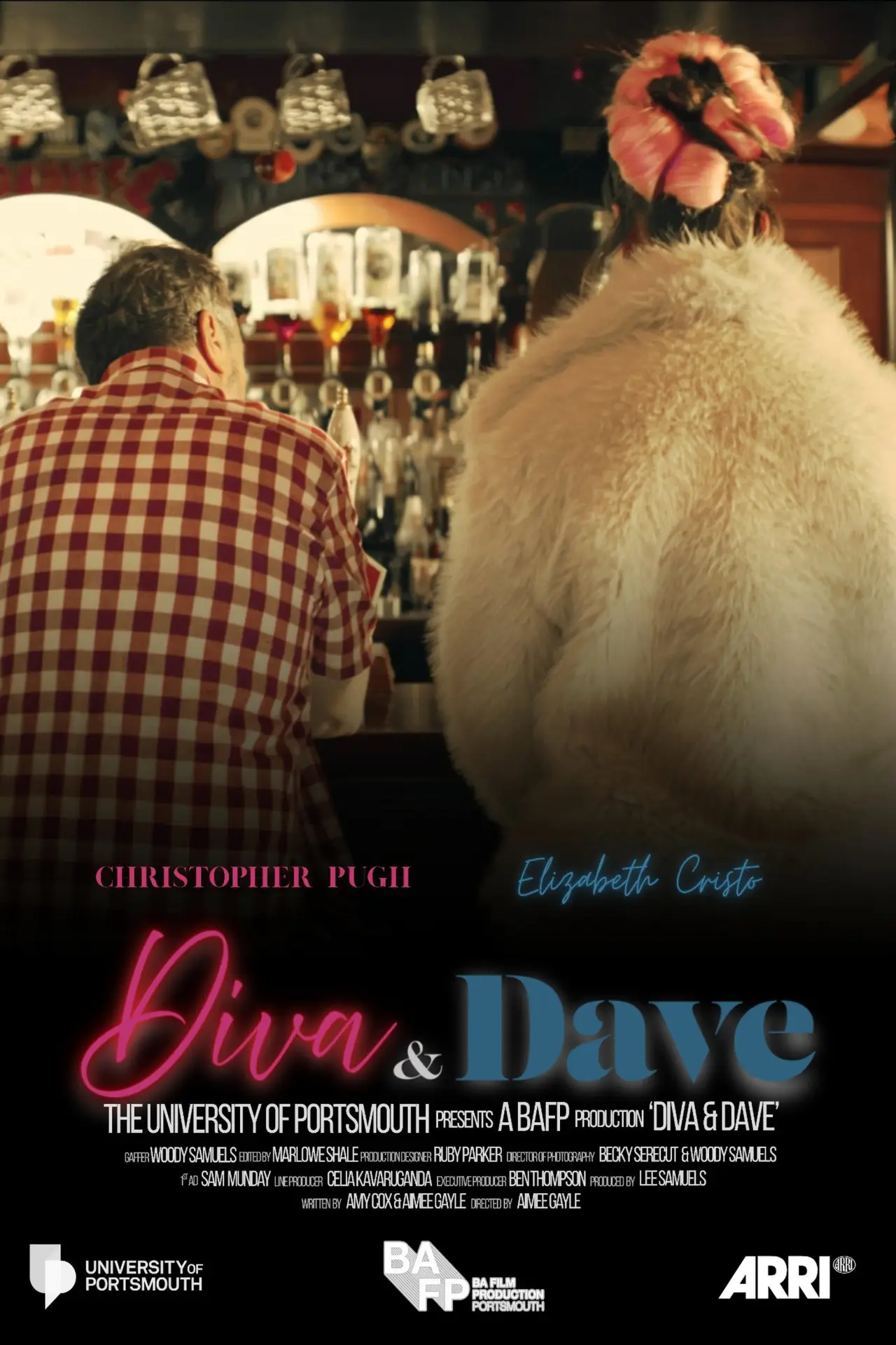 Plakat filmowy "Diva and Dave"