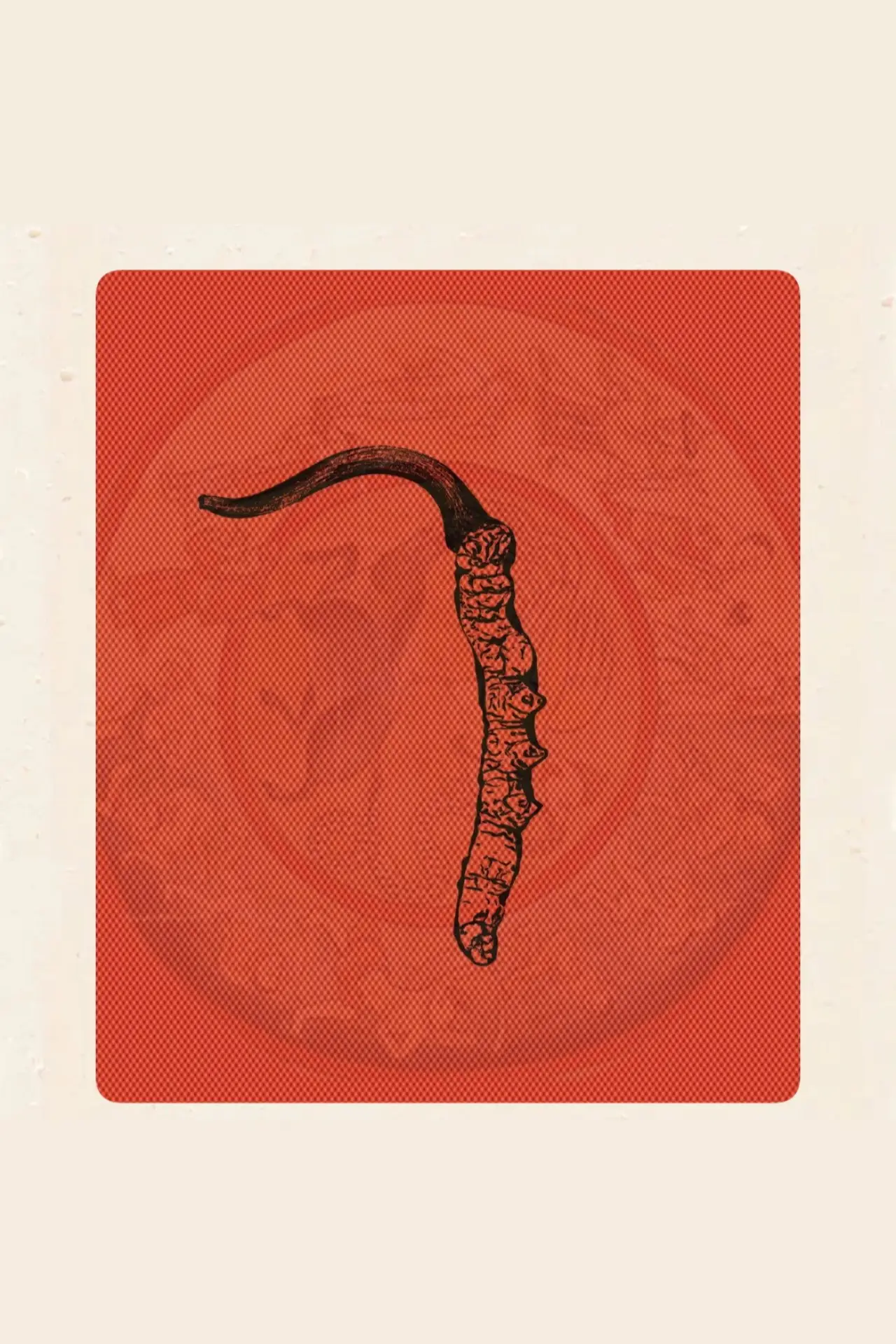Plakat filmowy "Himalayan Gold"
