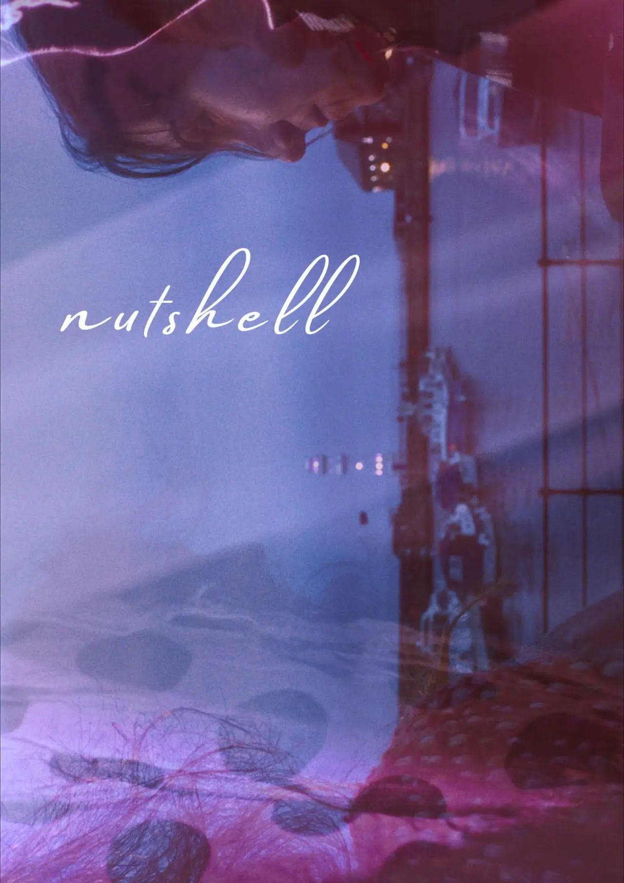 Plakat filmowy "nutshell"