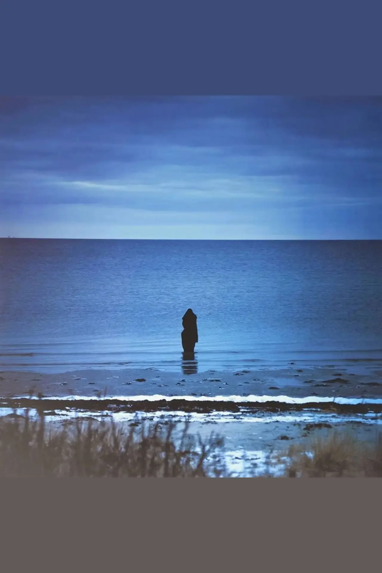 Plakat filmowy "Steven Wilson: Catalogue / Preserve / Amass"