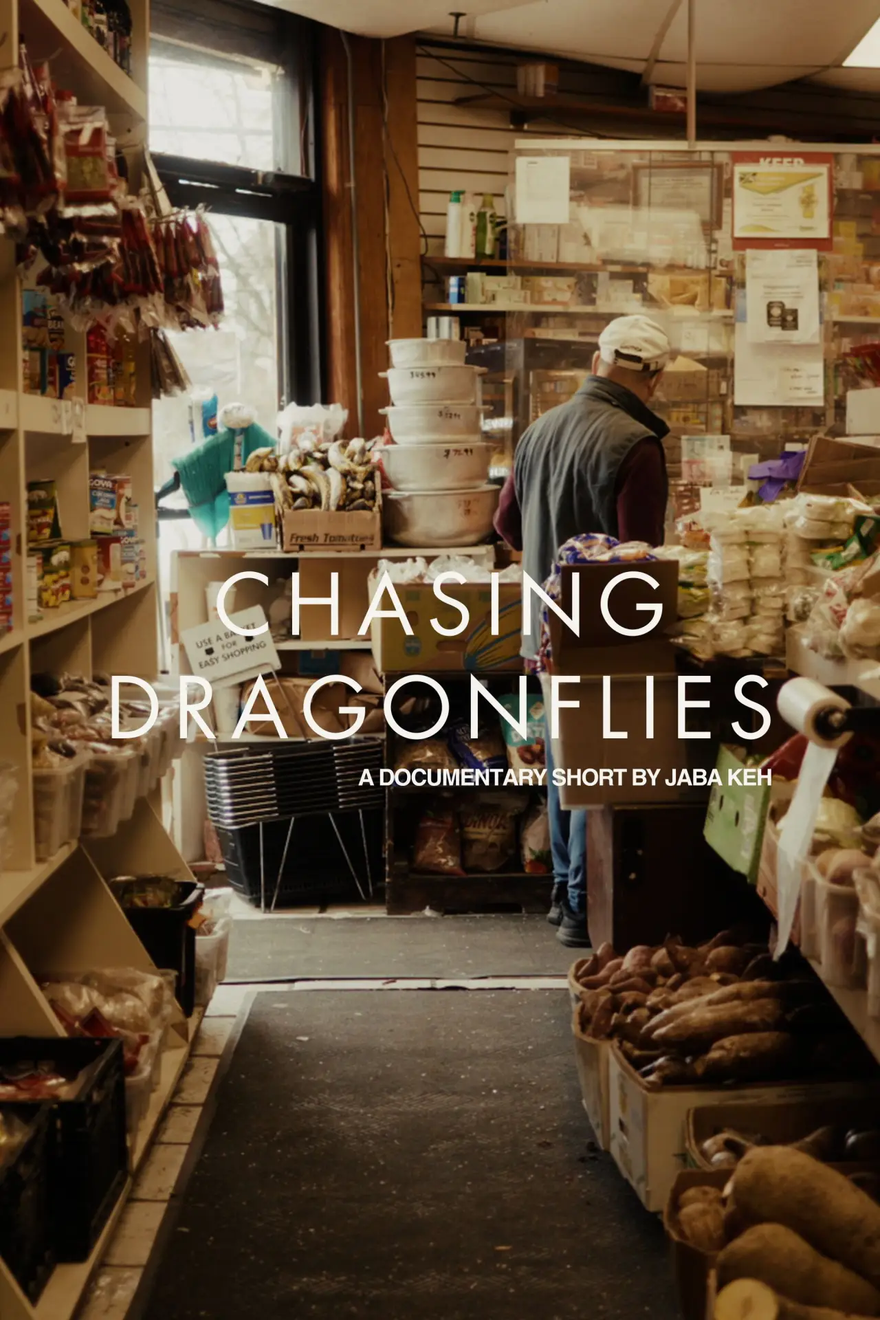 Plakat filmowy "Chasing Dragonflies"