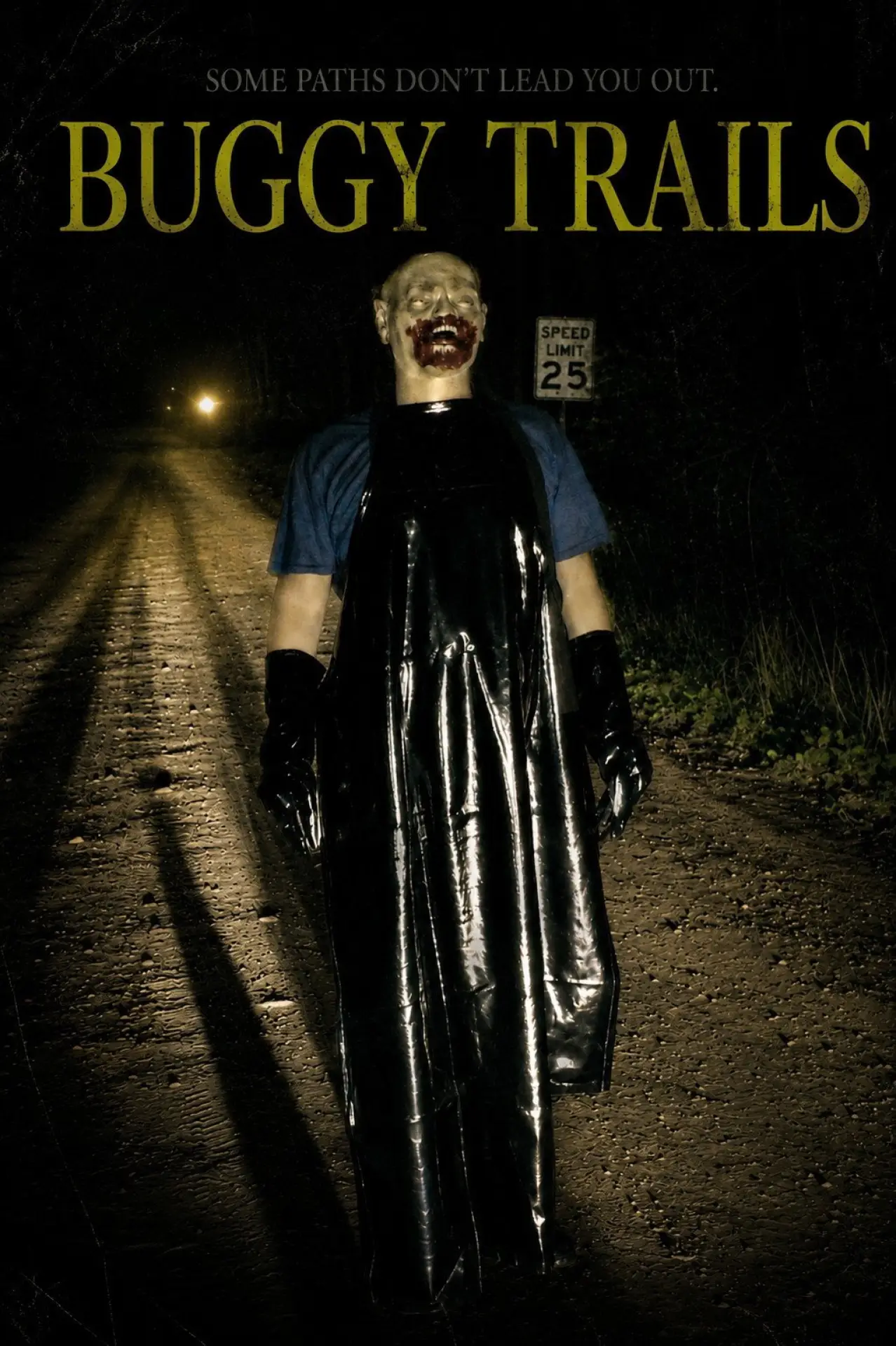 Plakat filmowy "Buggy Trails"