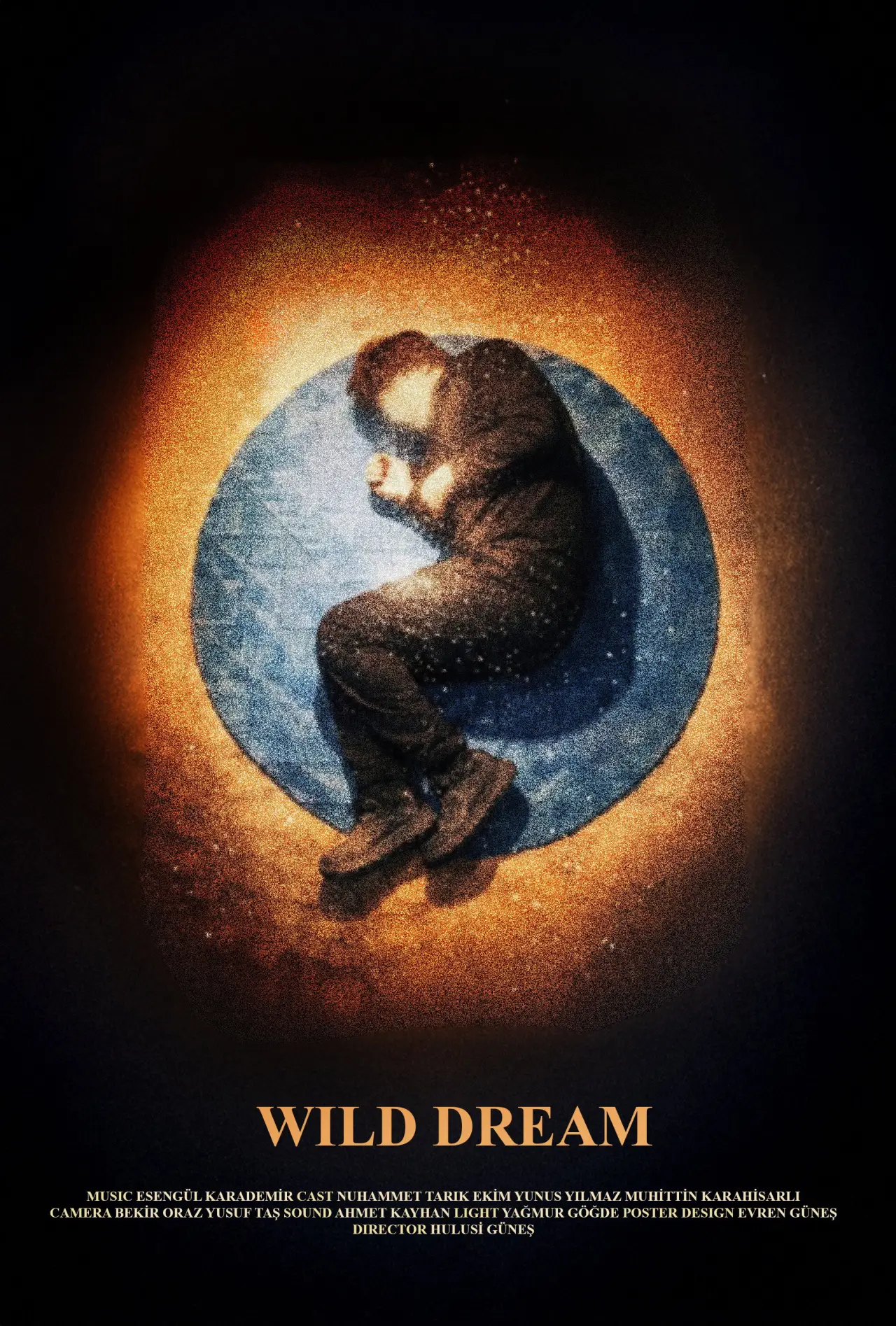 Plakat filmowy "Yaban Düşü"