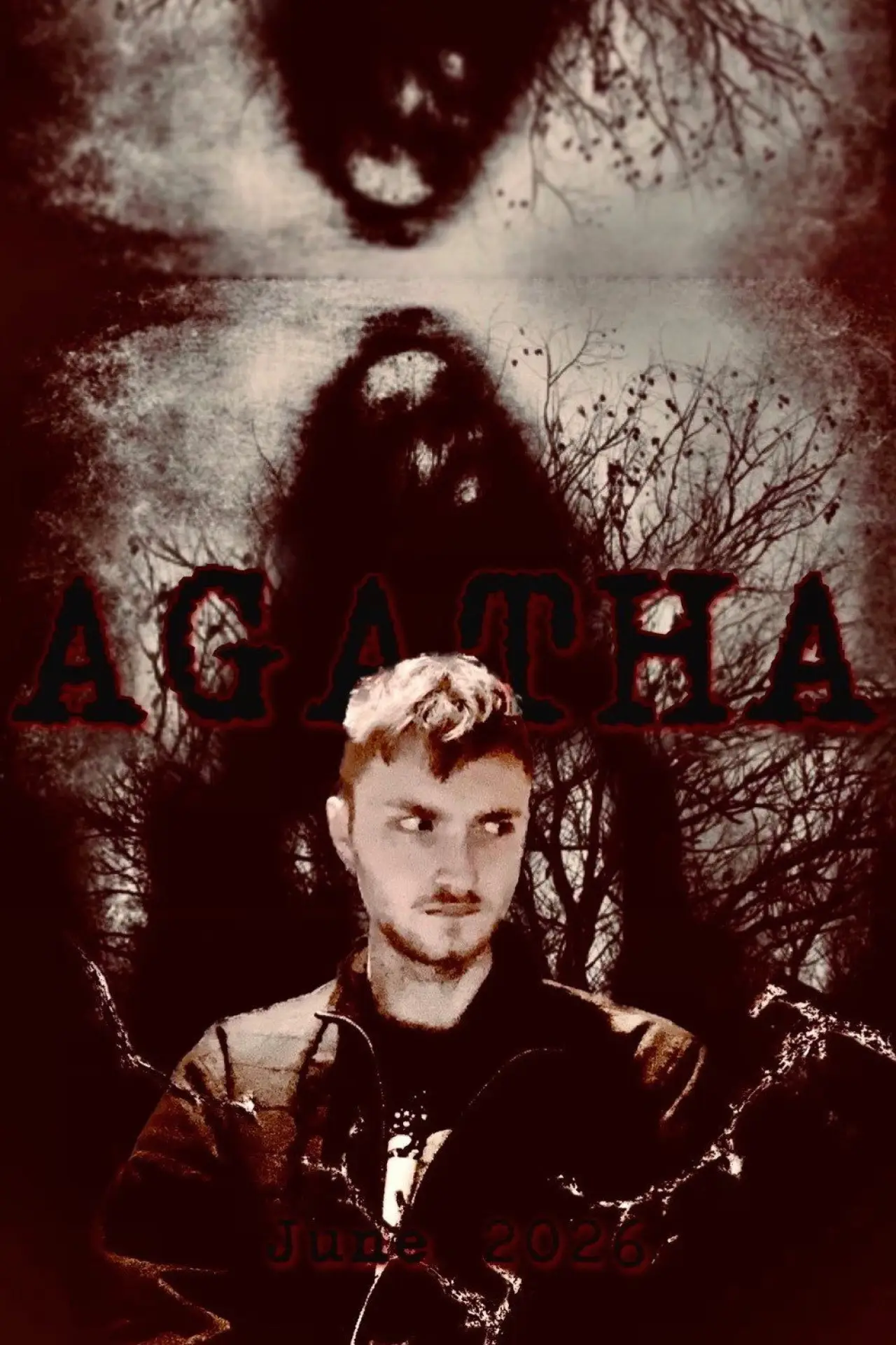 Plakat filmowy "Agatha"