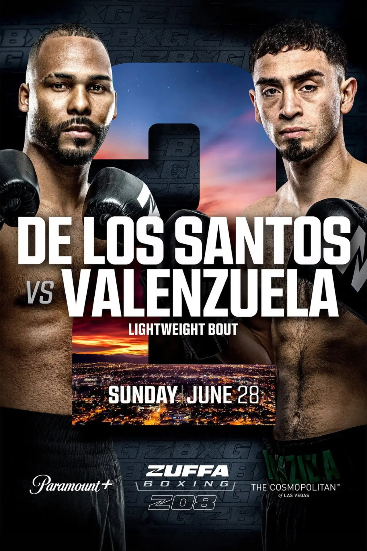 Plakat filmowy "Zuffa Boxing 08"