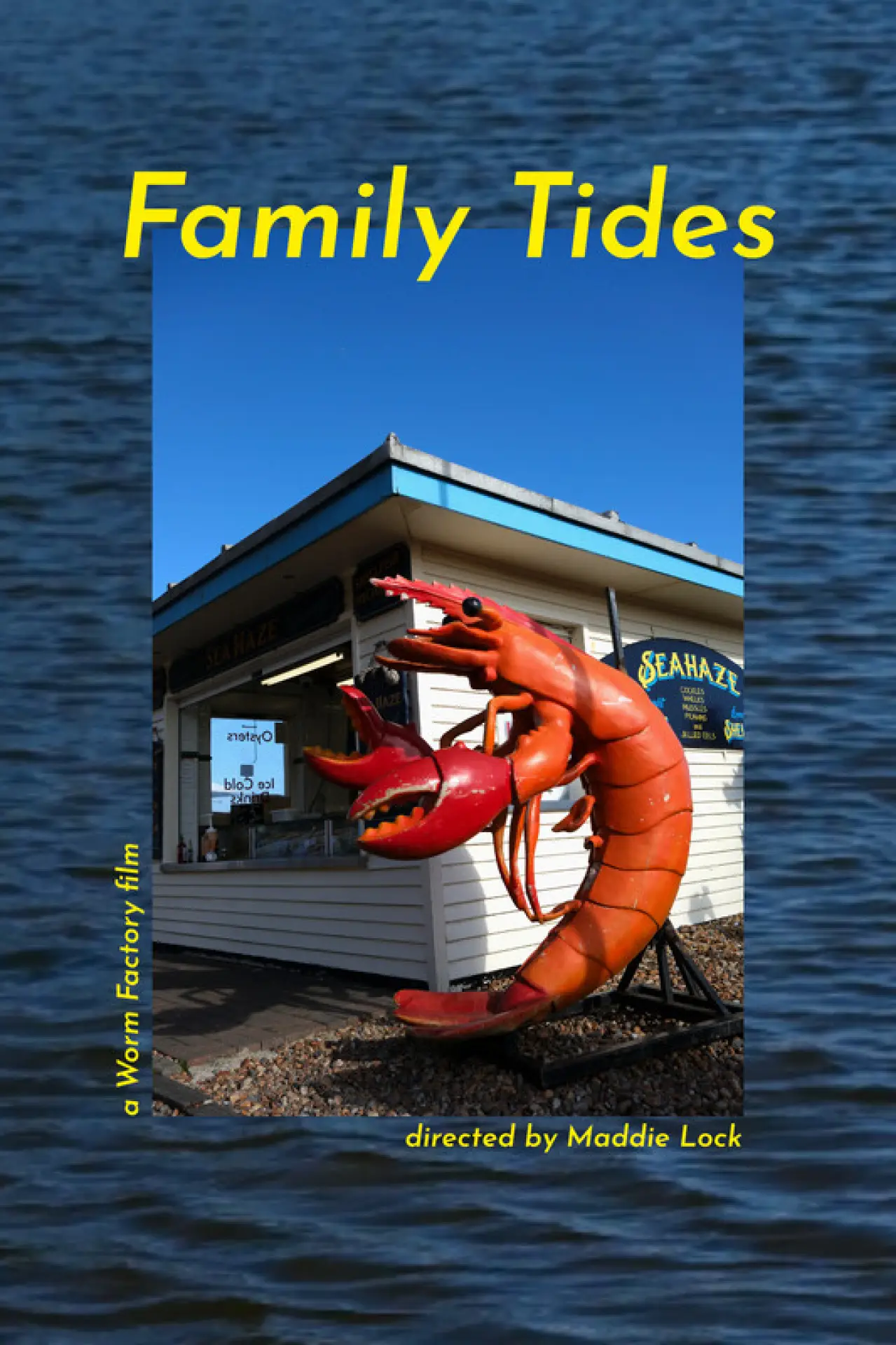 Plakat filmowy "Family Tides"