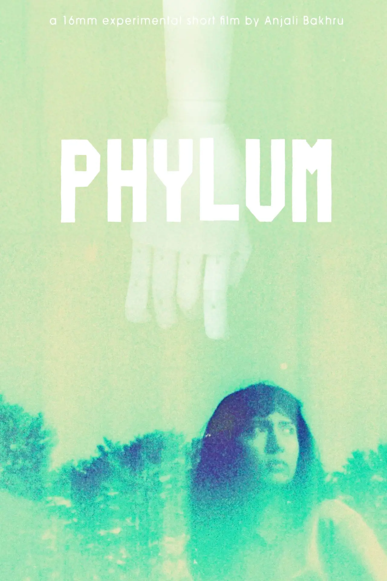 Plakat filmowy "Phylum"