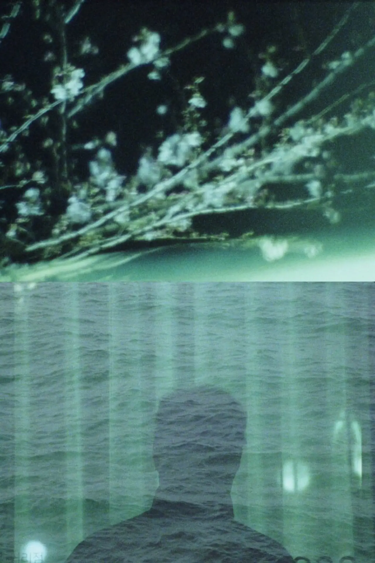 Plakat filmowy "Le Naufragé"