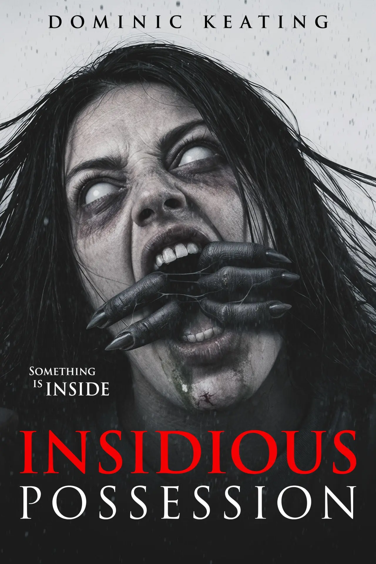 Plakat filmowy "Insidious Possession"