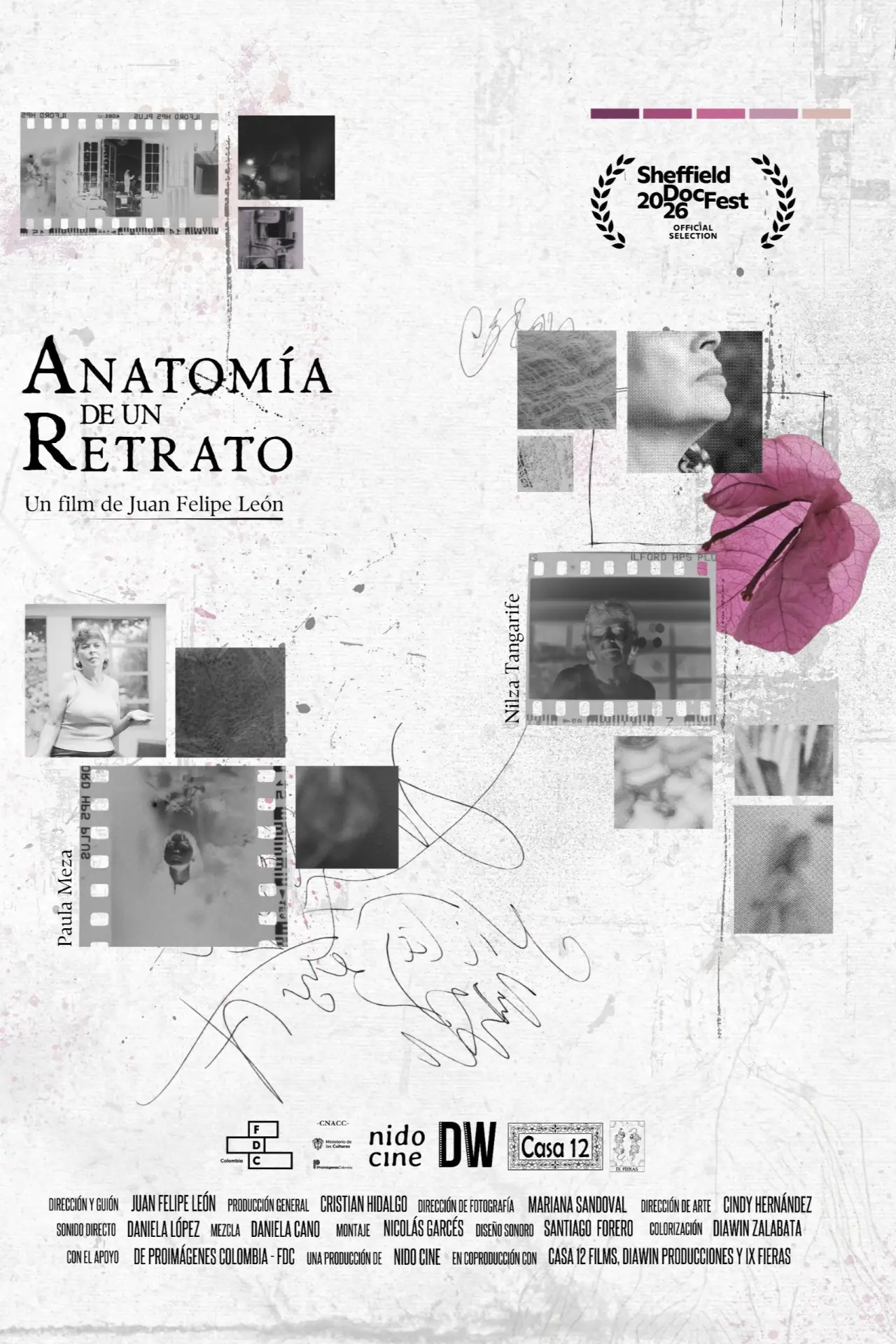 Plakat filmowy "Anatomía de un retrato"
