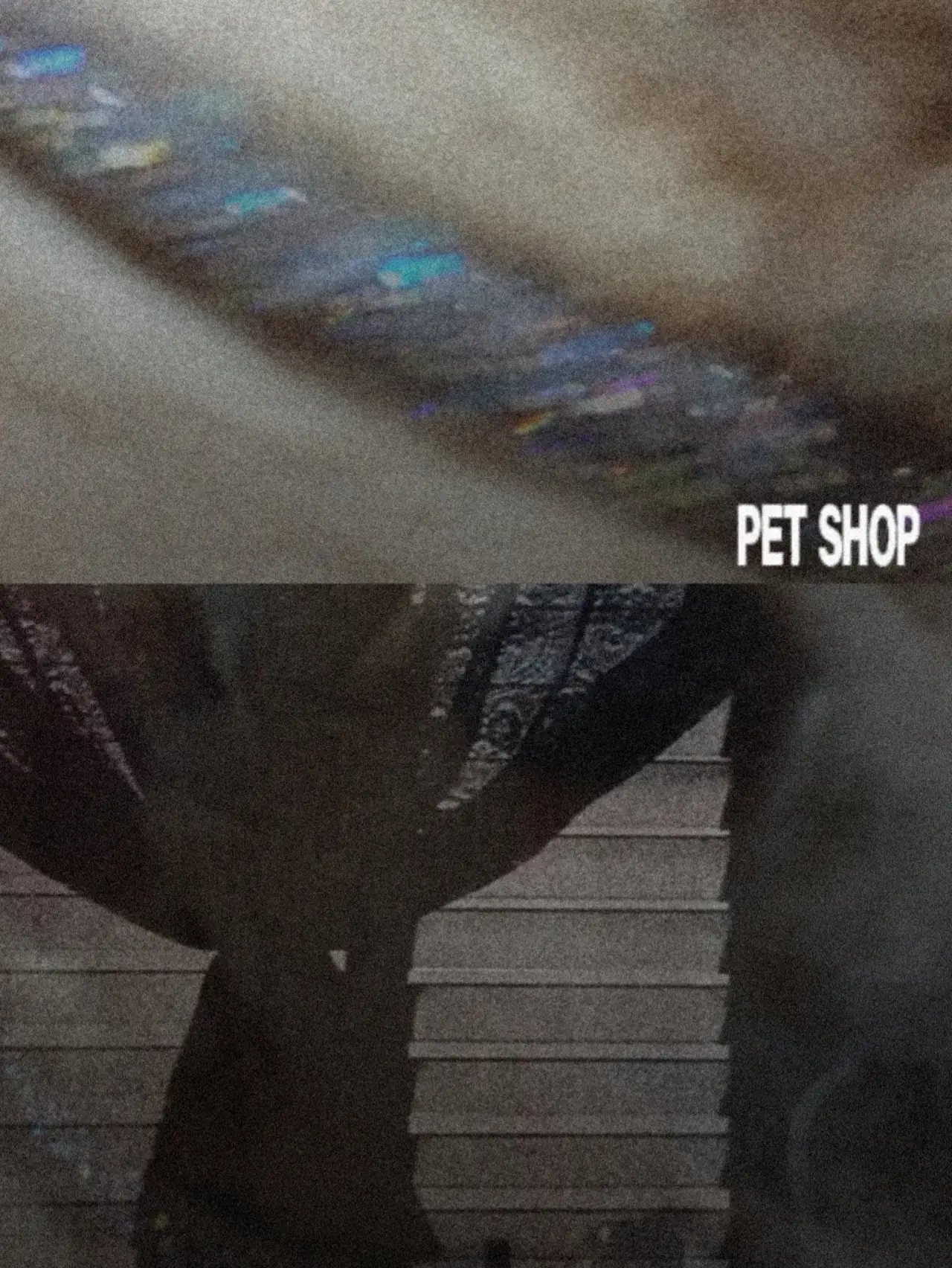 Plakat filmowy "Pet Shop"