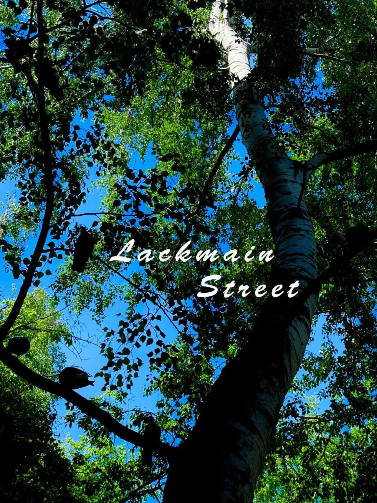 Plakat filmowy "Lackmain Street"