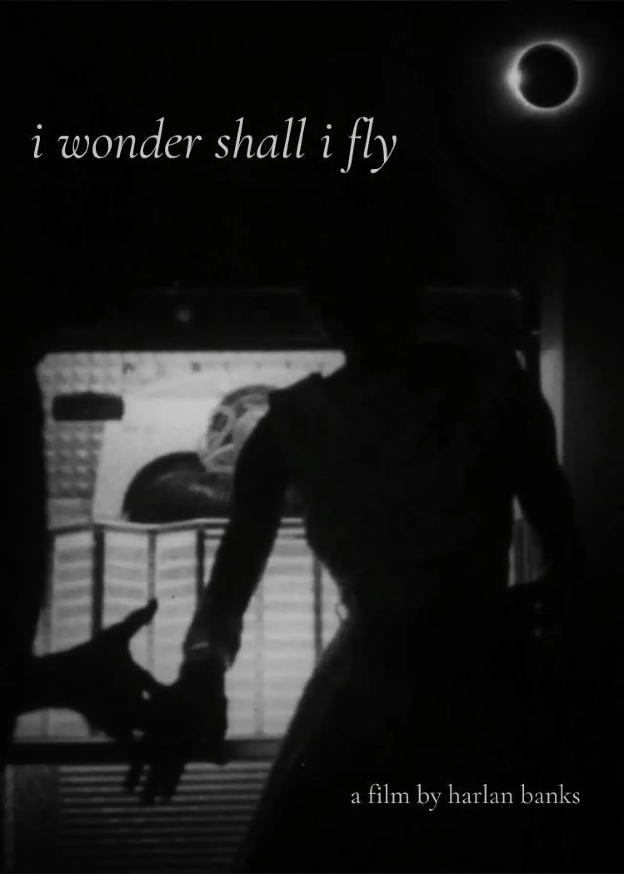 Plakat filmowy "i wonder shall i fly"