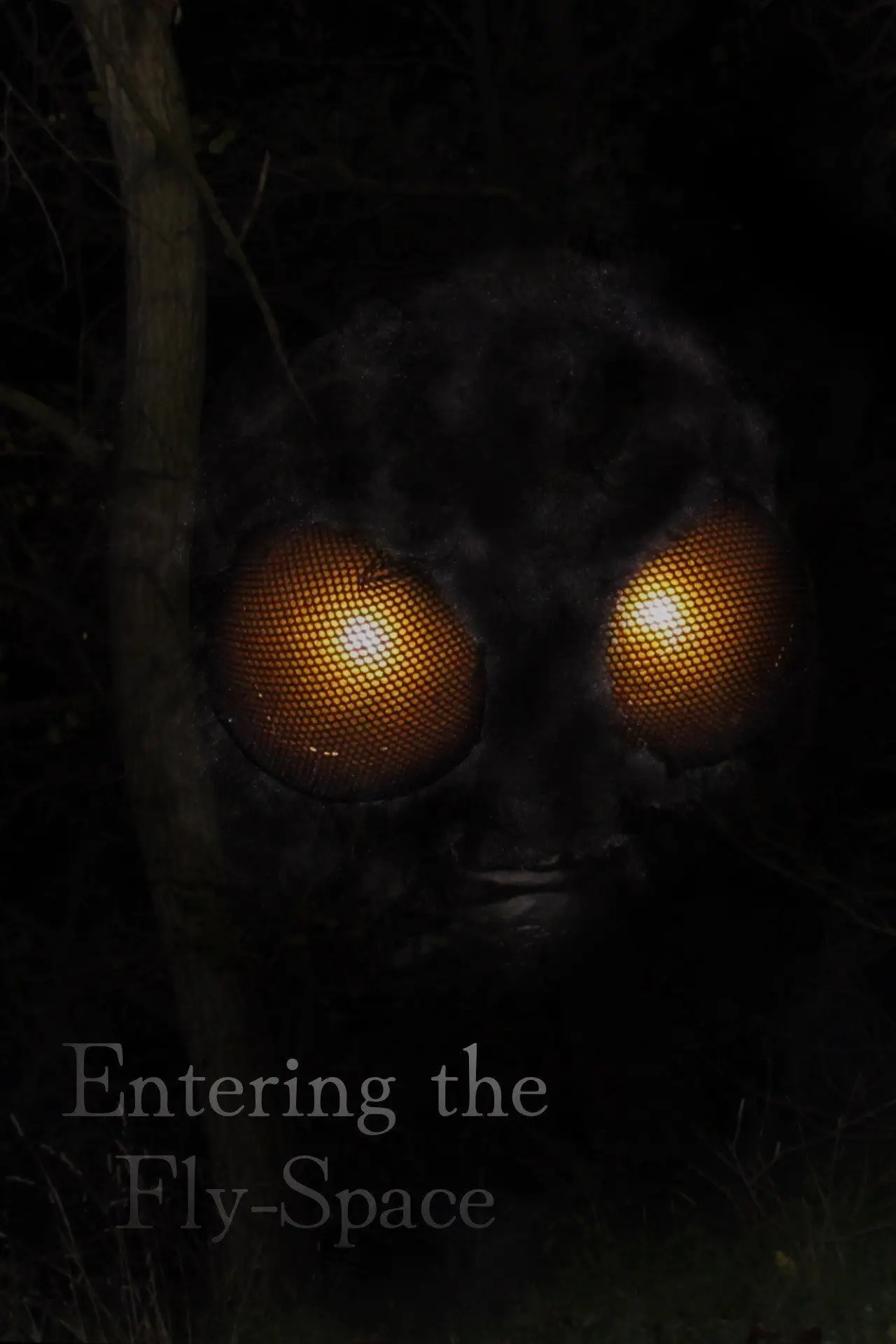 Plakat filmowy "Entering the Fly-Space"