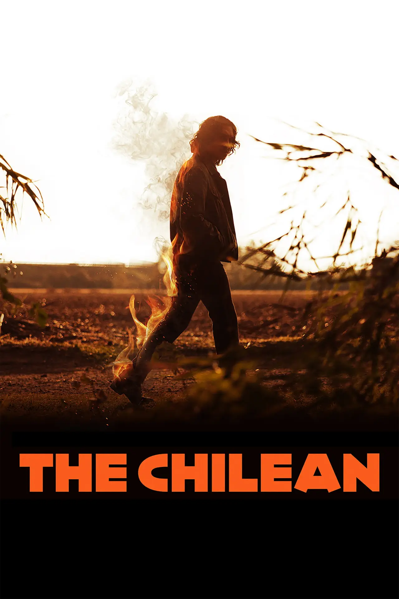 Plakat filmowy "Il cileno"