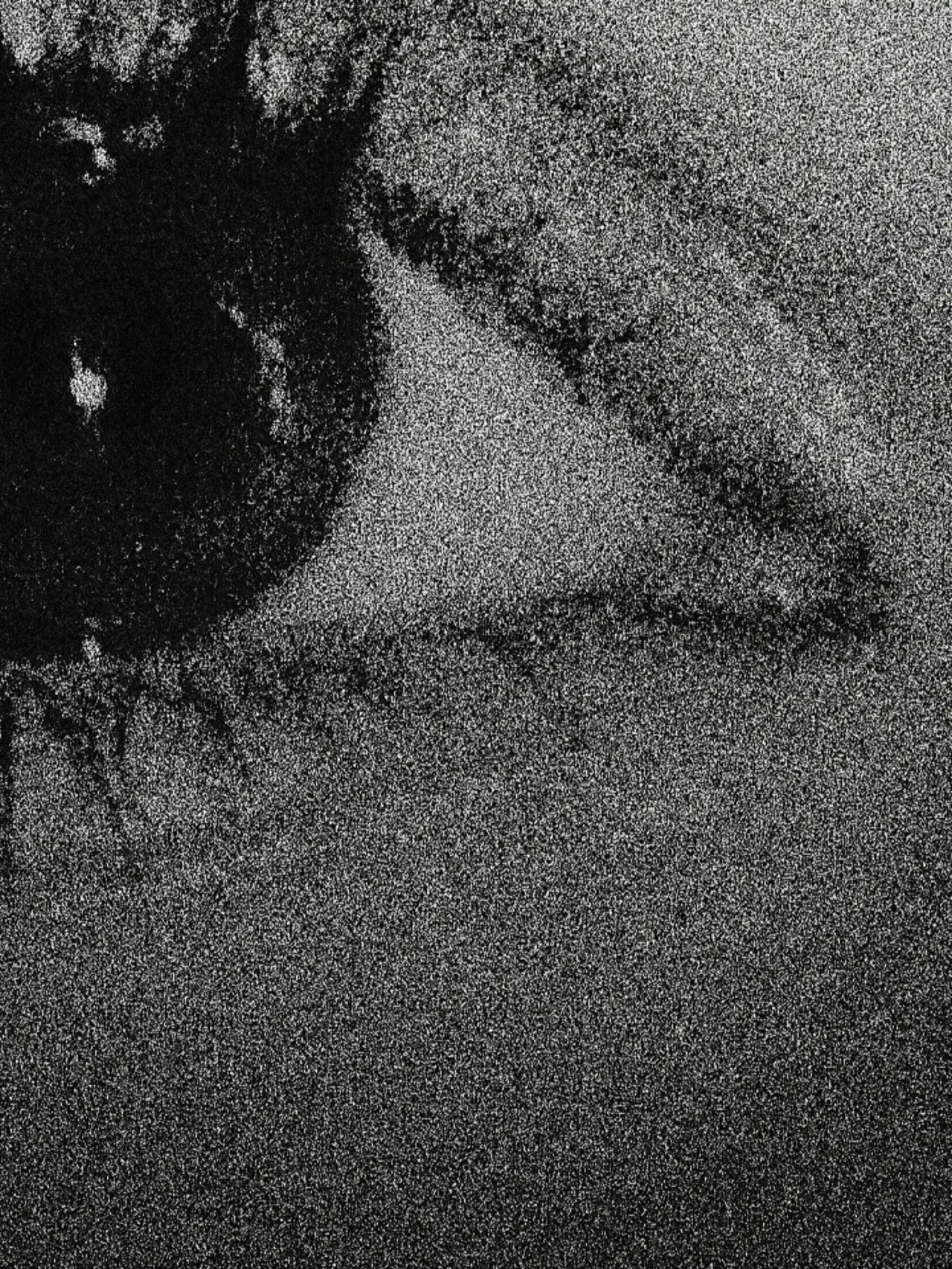 Plakat filmowy "Ojos"