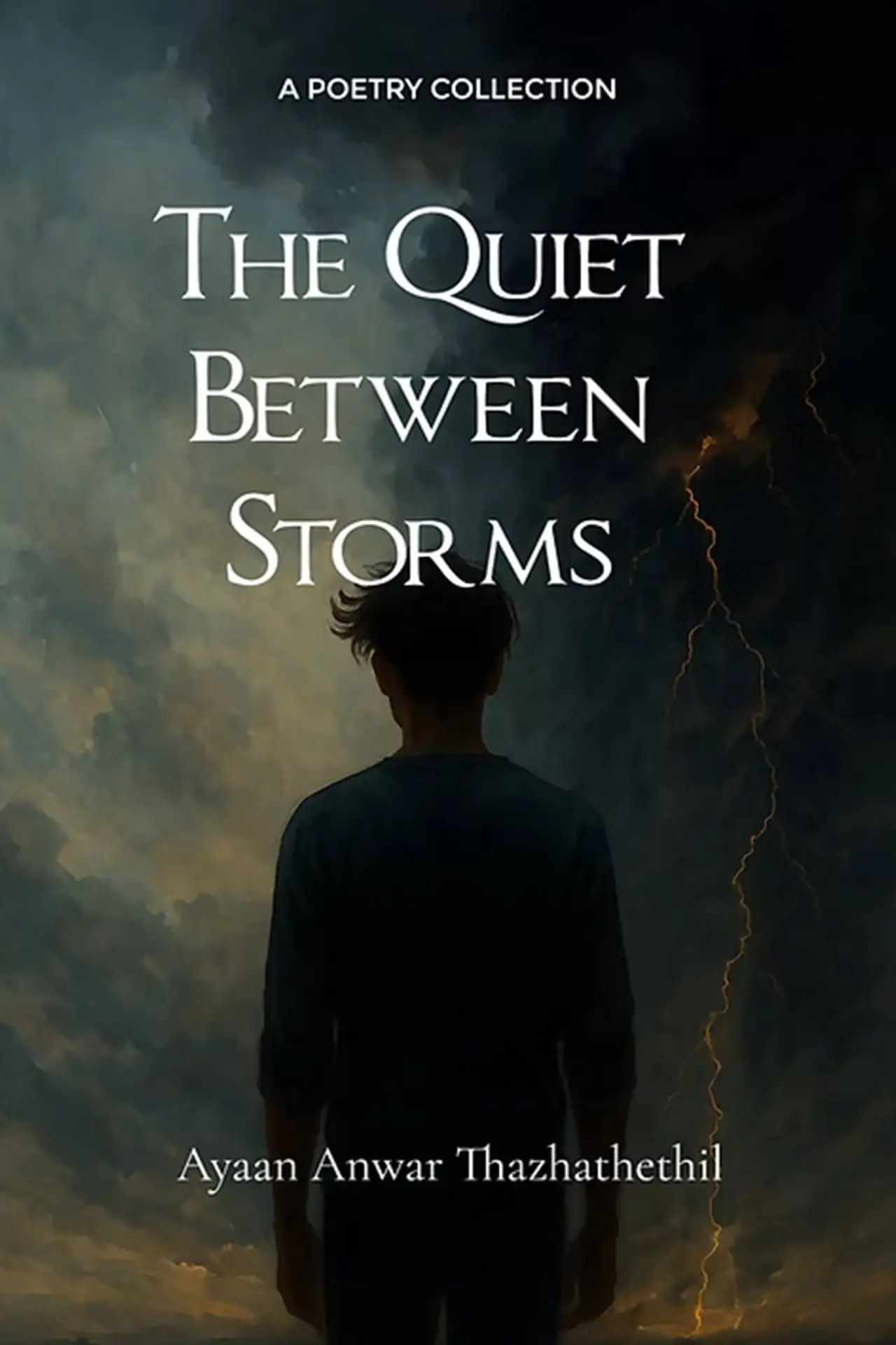 Plakat filmowy "The Quiet Between Storms"