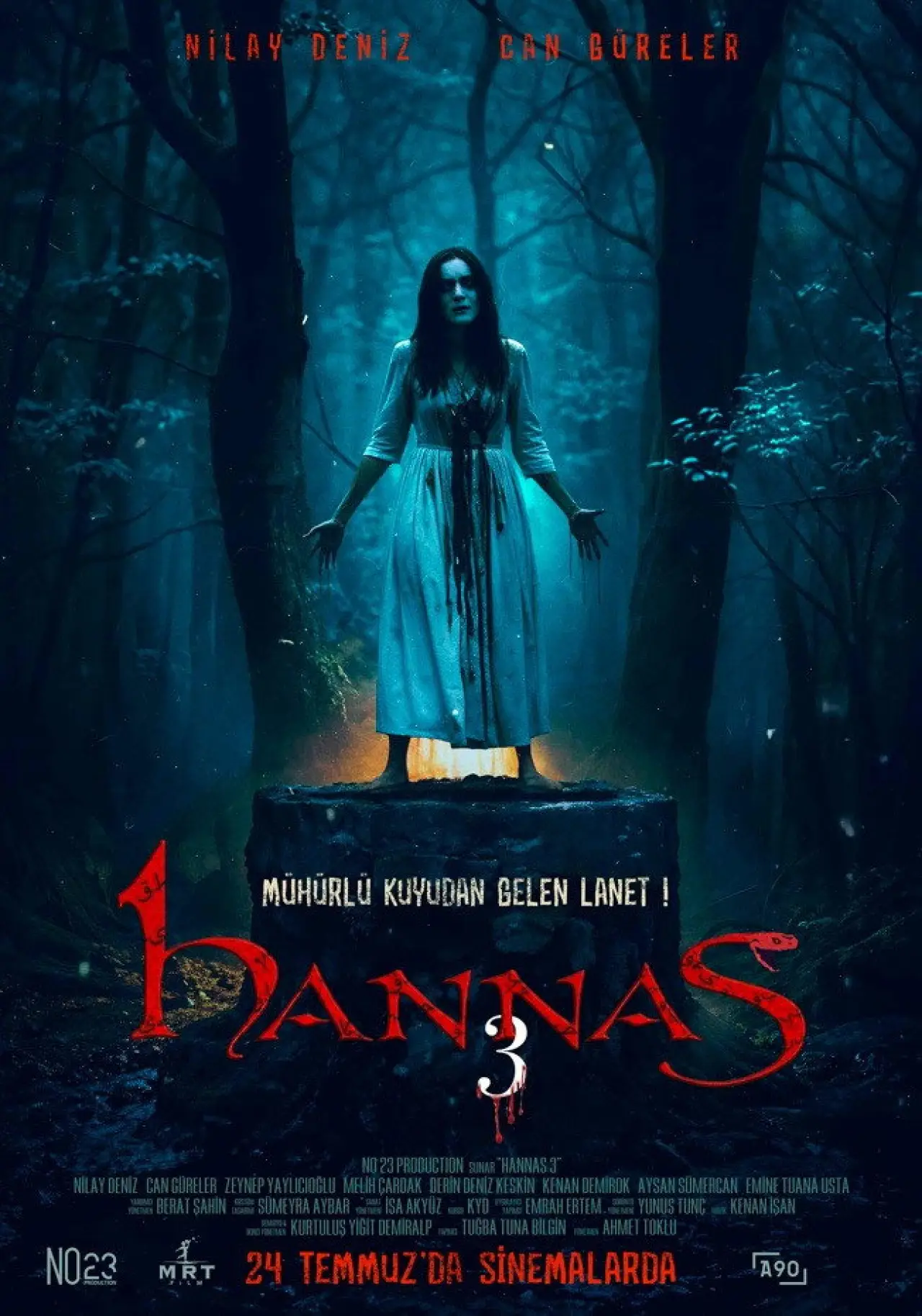 Plakat filmowy "Hannas 3"