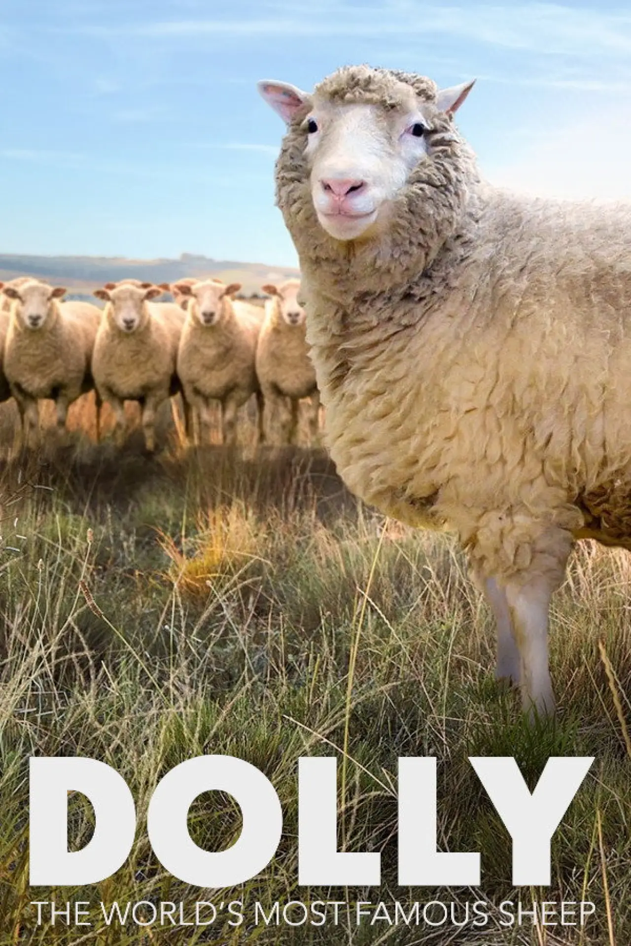 Plakat filmowy "Dolly: The World