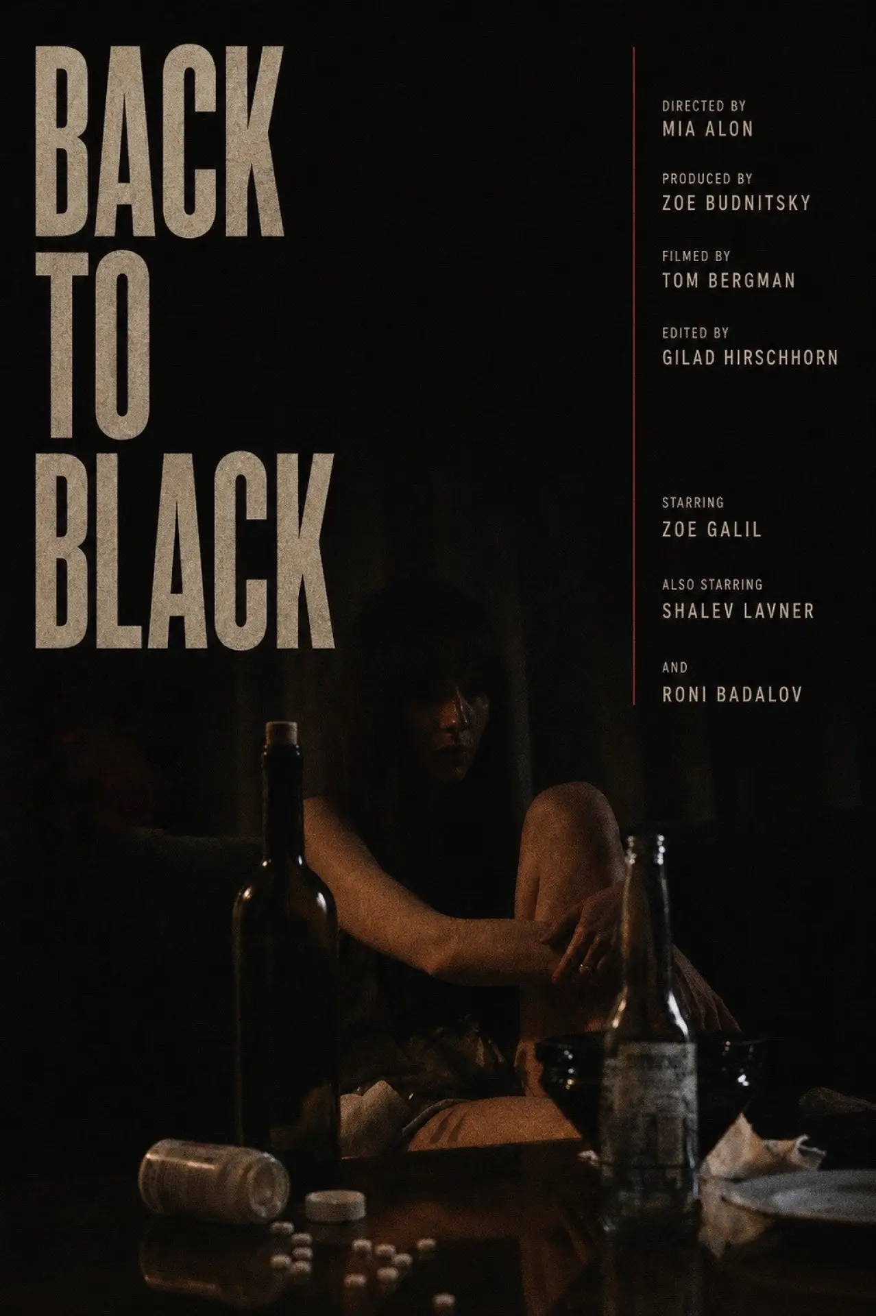 Plakat filmowy "Back To Black"