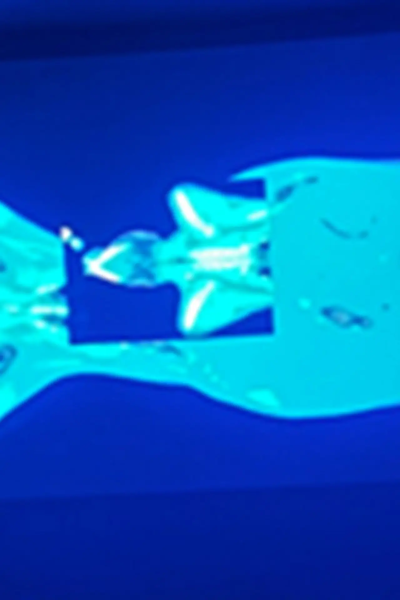 Plakat filmowy "X-Ray Katx"