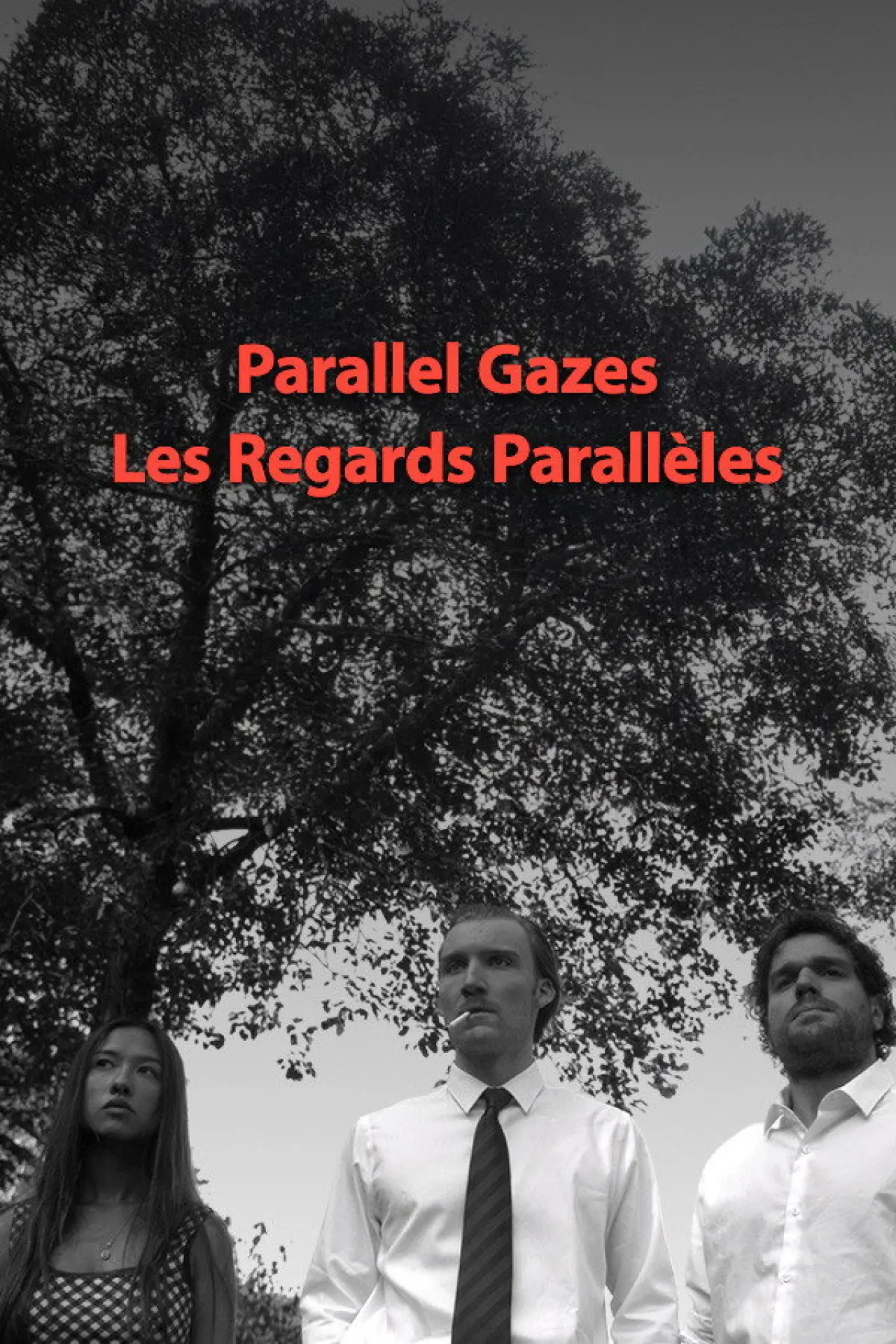 Plakat filmowy "Les regards parallèles"