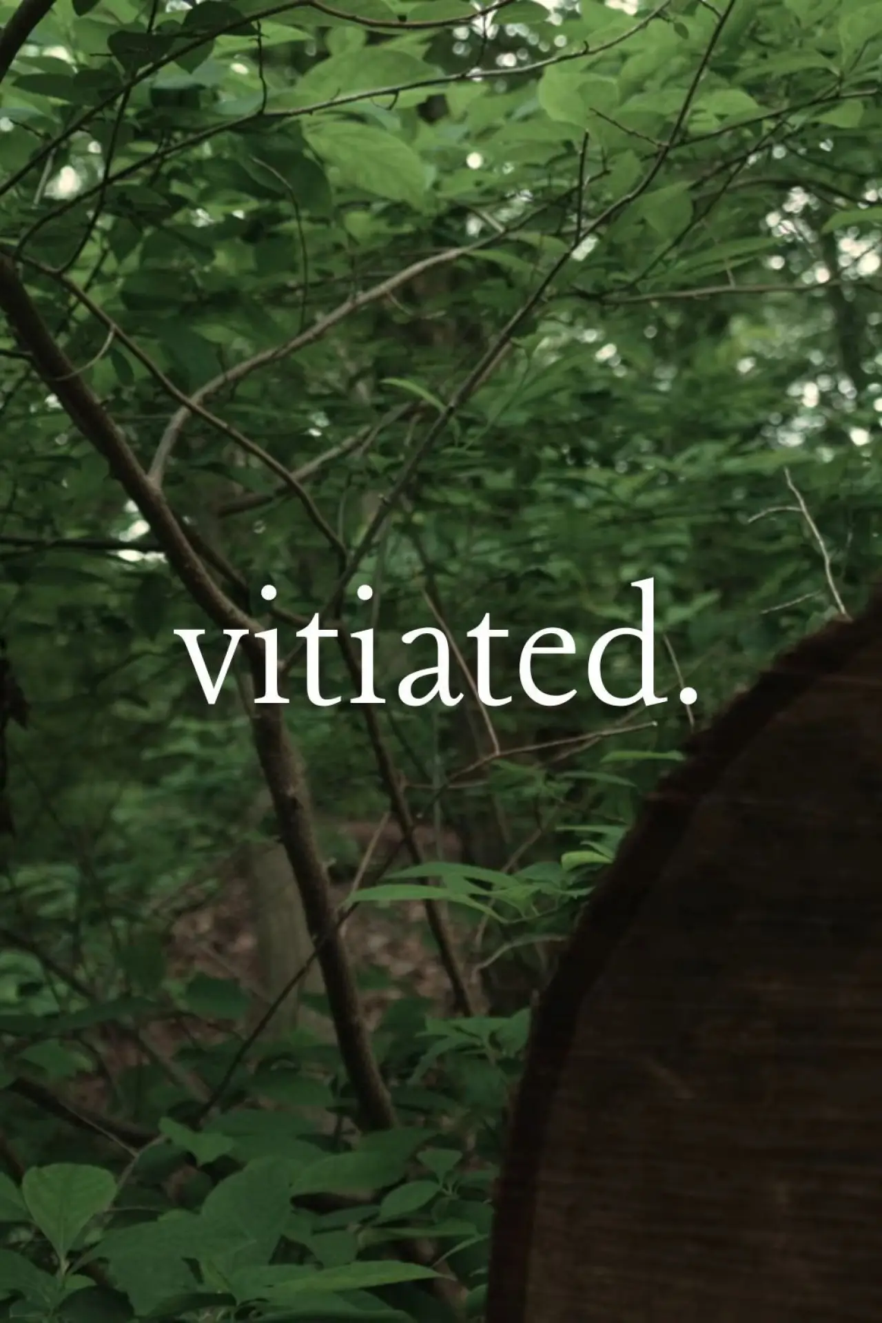 Plakat filmowy "Vitiated"