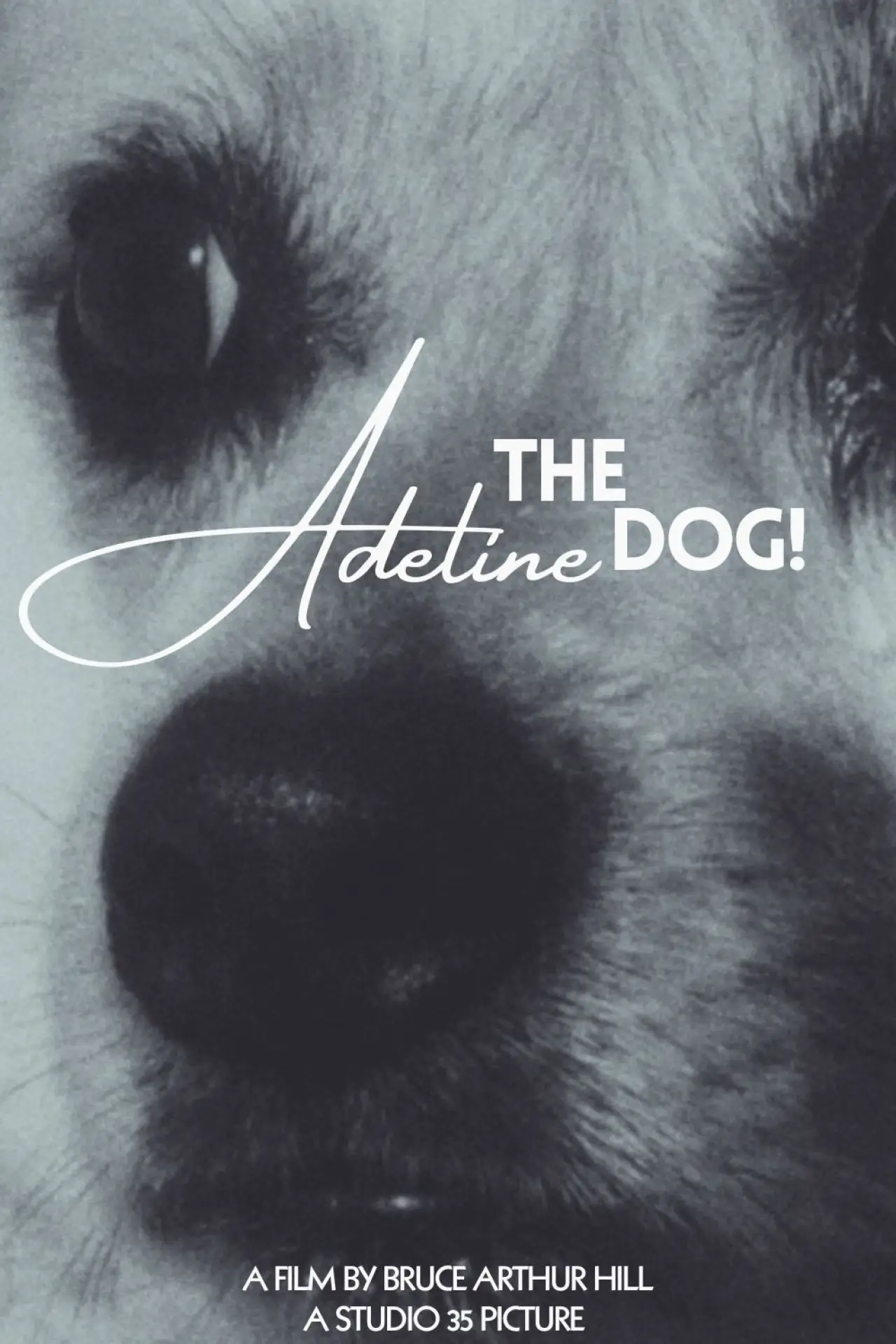 Plakat filmowy "Adeline The Dog!"
