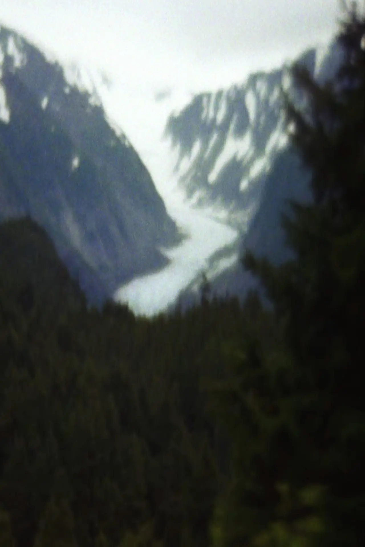 Plakat filmowy "Alaska"