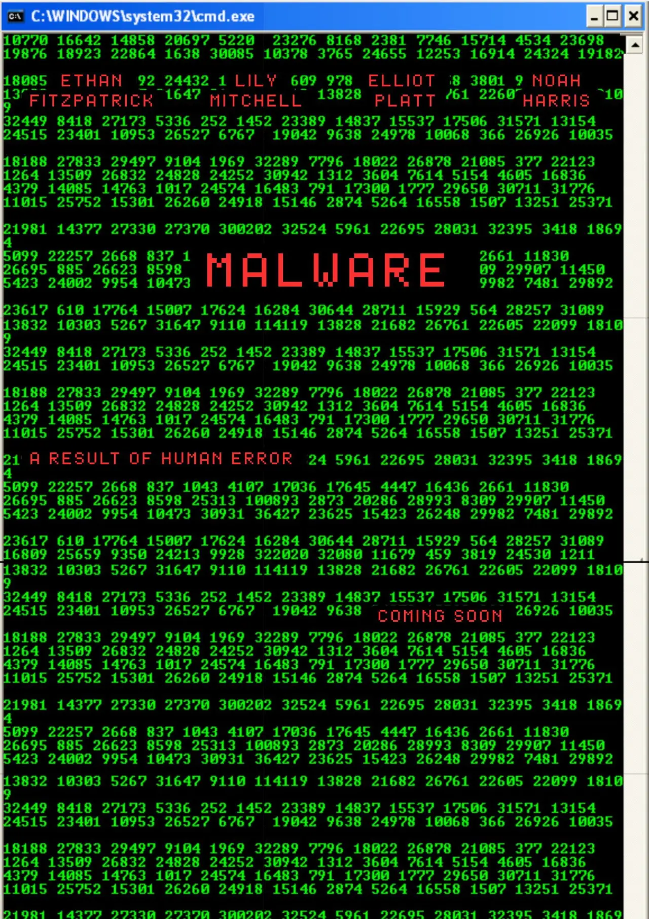 Plakat filmowy "MALWARE"