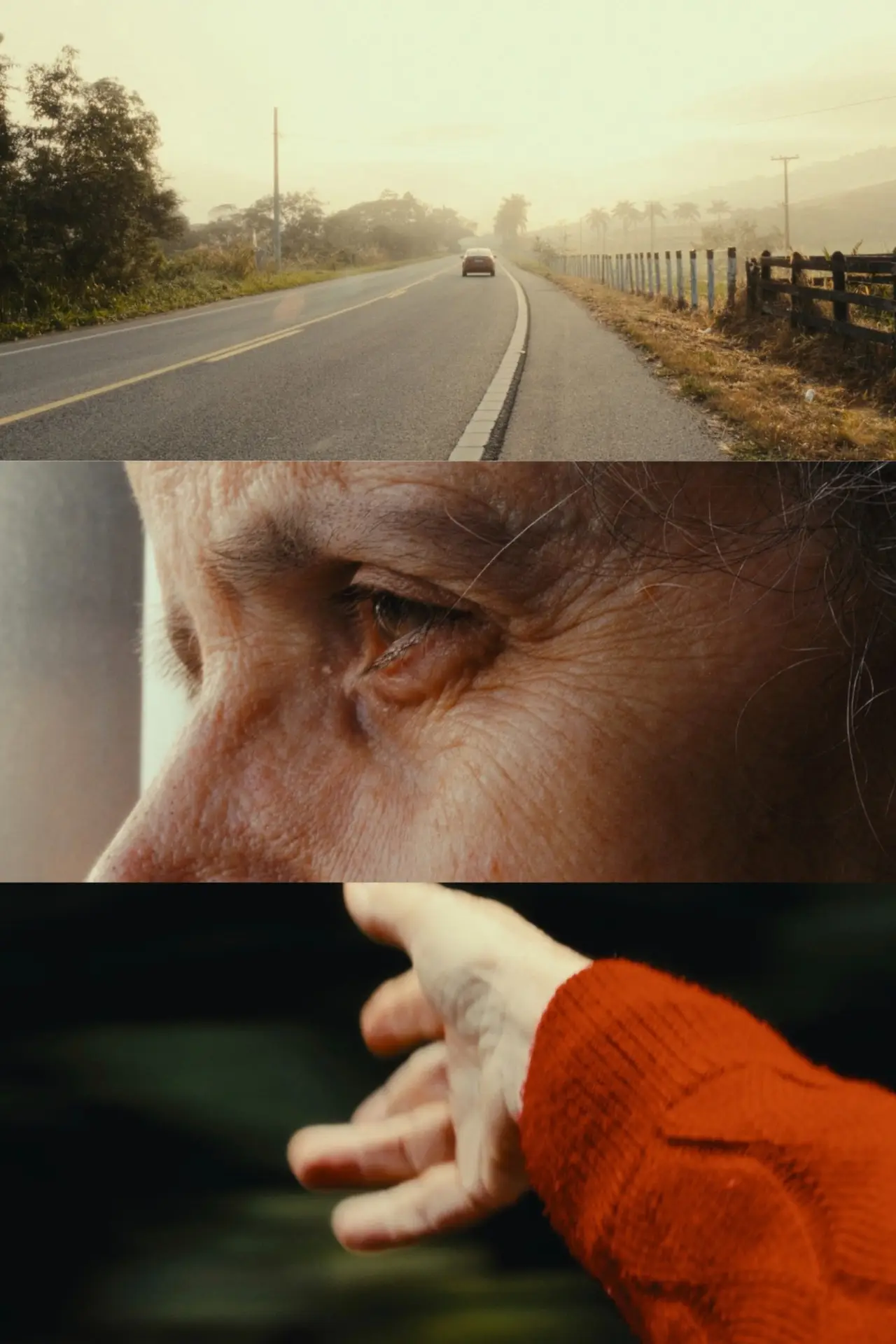 Plakat filmowy "Madalena"