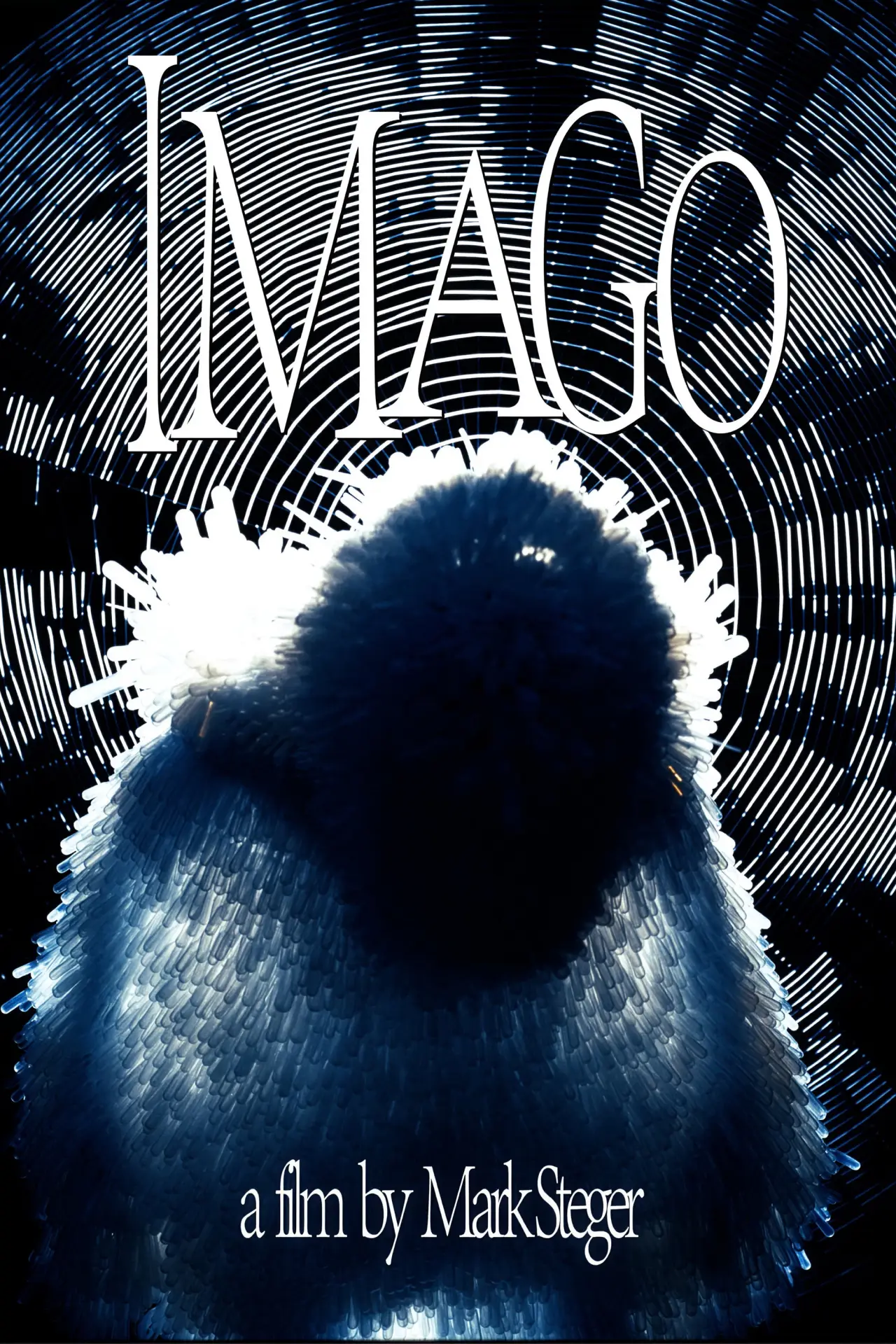 Plakat filmowy "Imago"