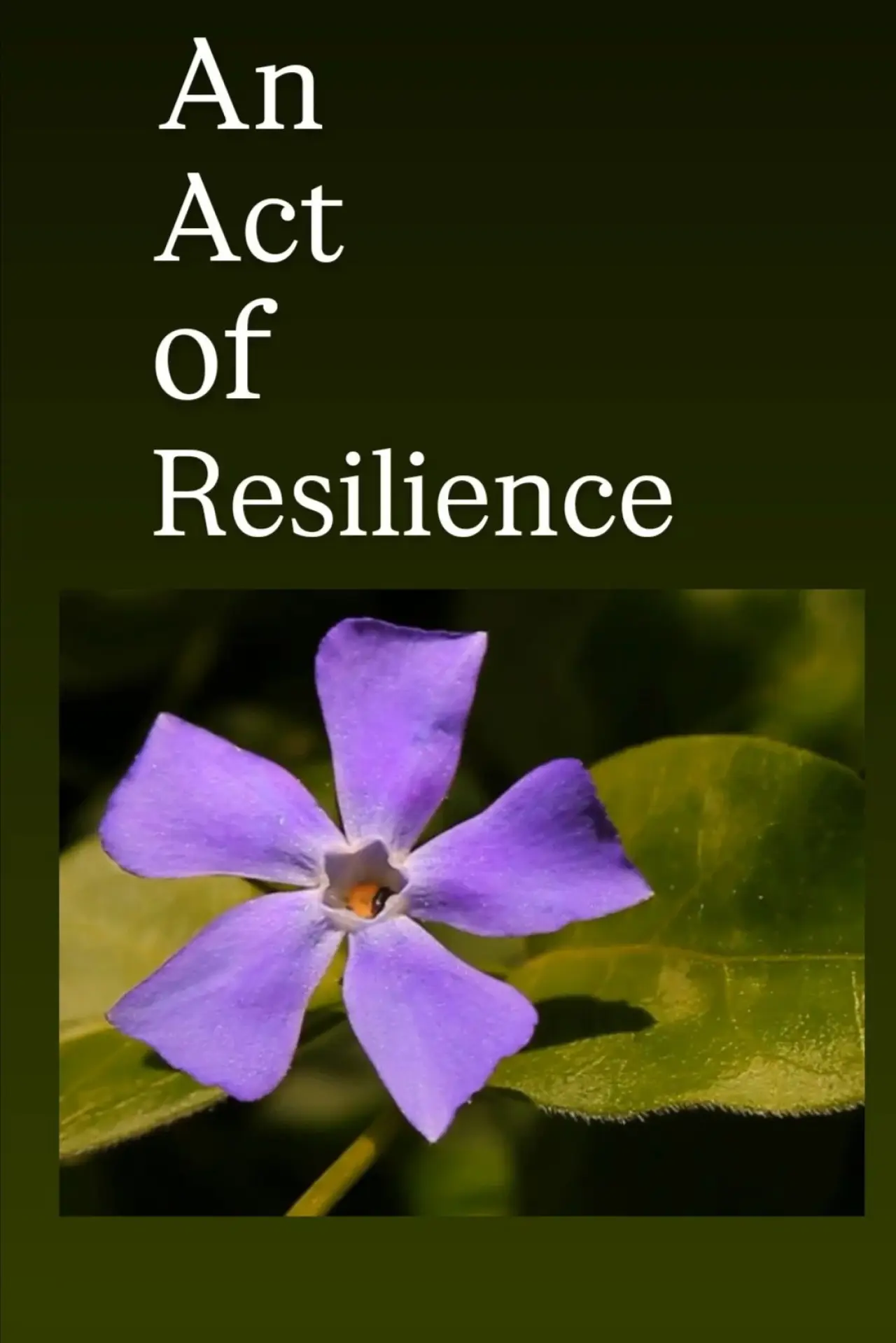Plakat filmowy "An Act of Resilience"