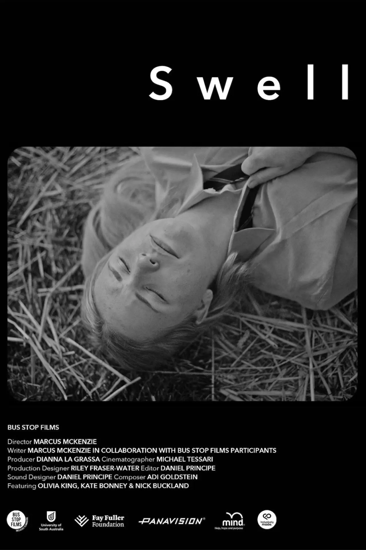 Plakat filmowy "Swell"