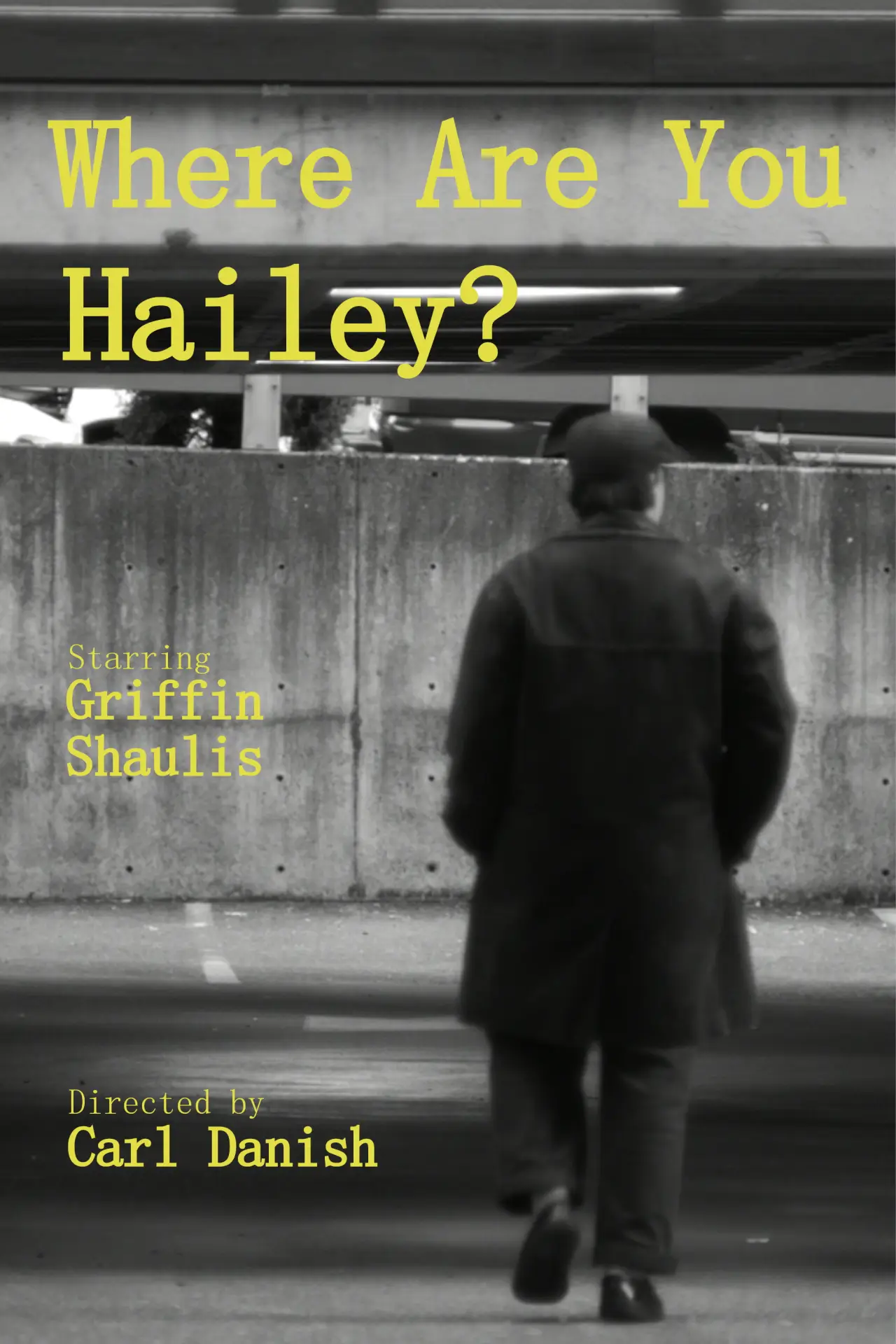 Plakat filmowy "Where Are You Hailey?"