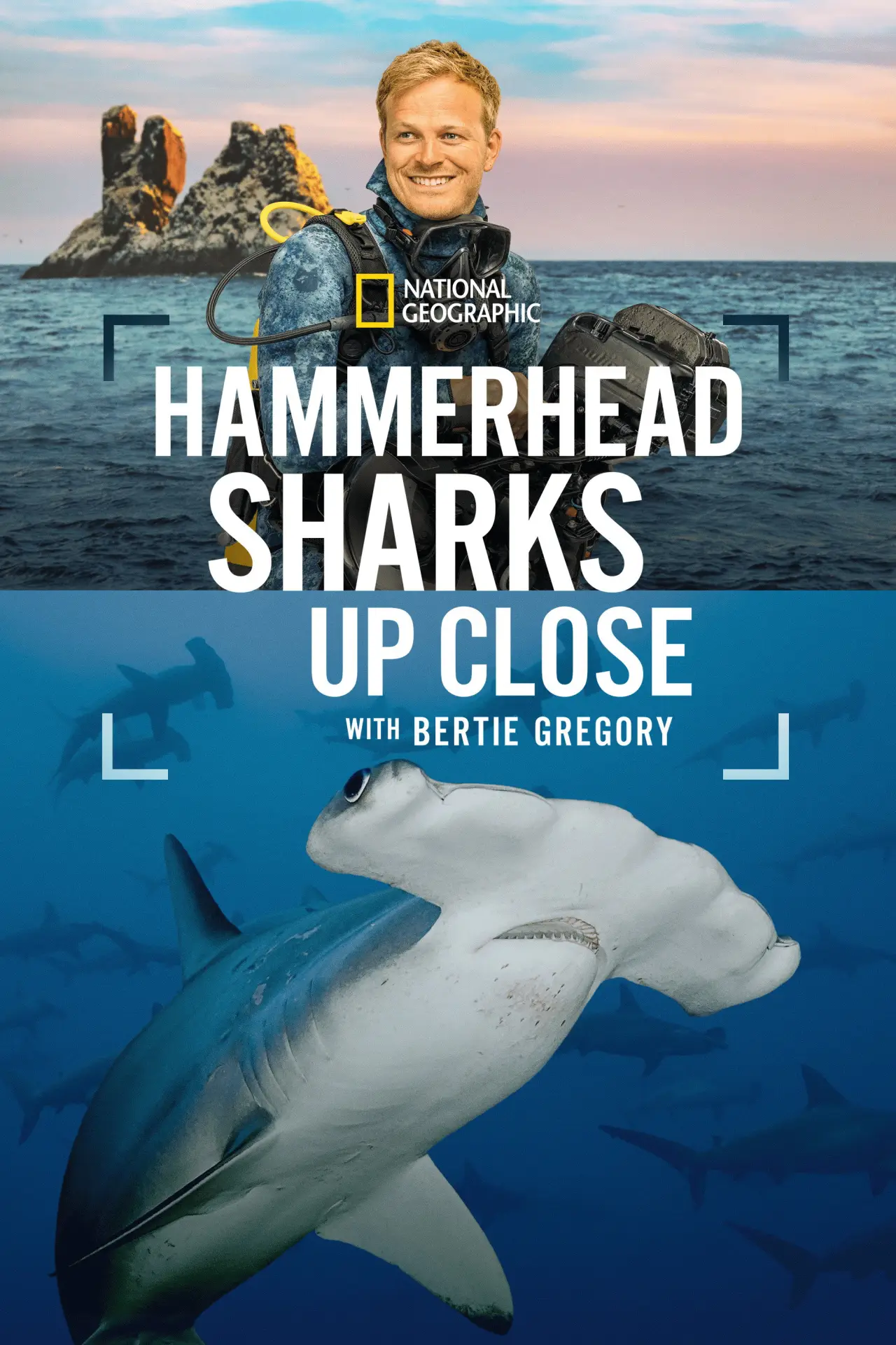 Plakat filmowy "Hammerhead Sharks Up Close with Bertie Gregory"