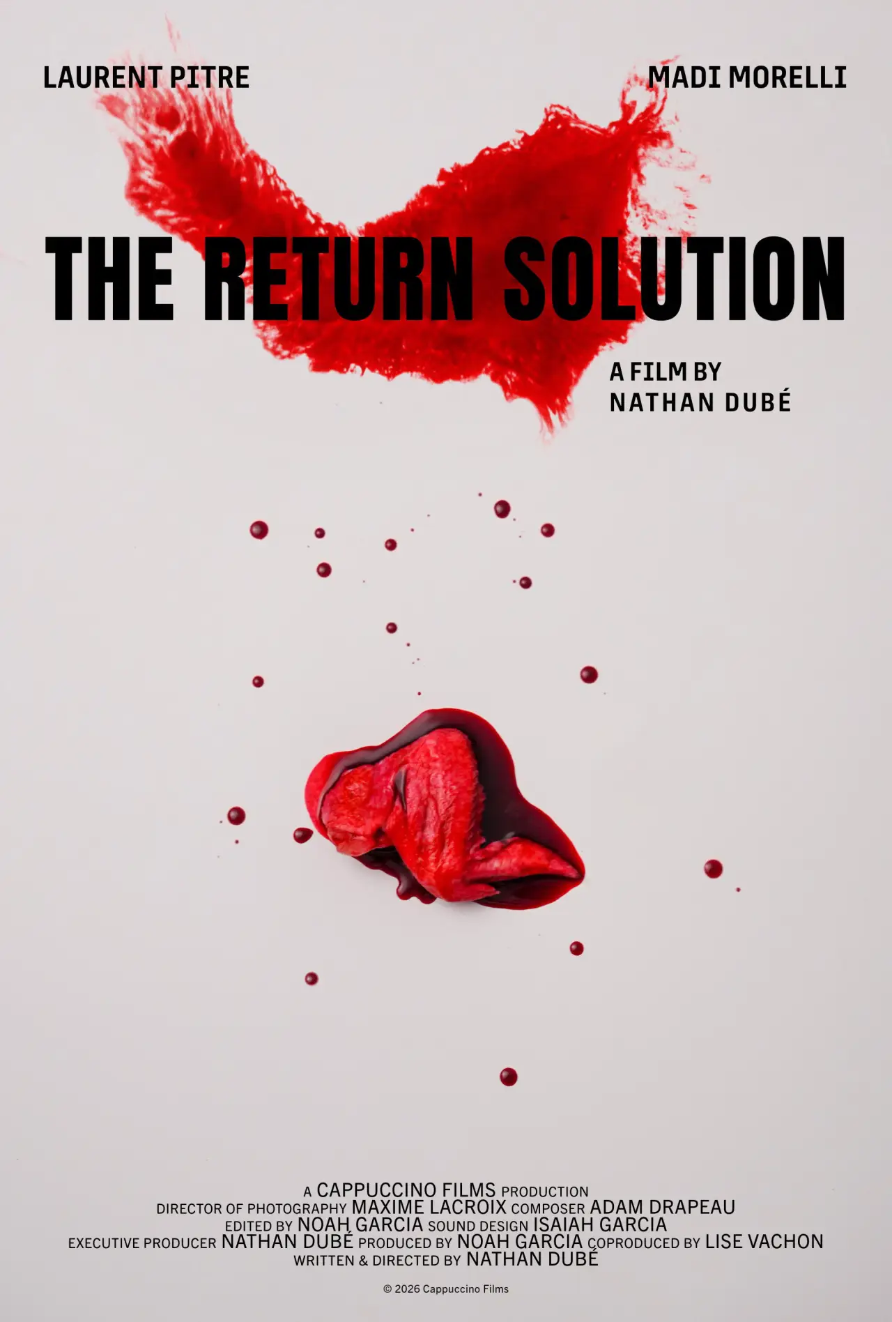 Plakat filmowy "The Return Solution"
