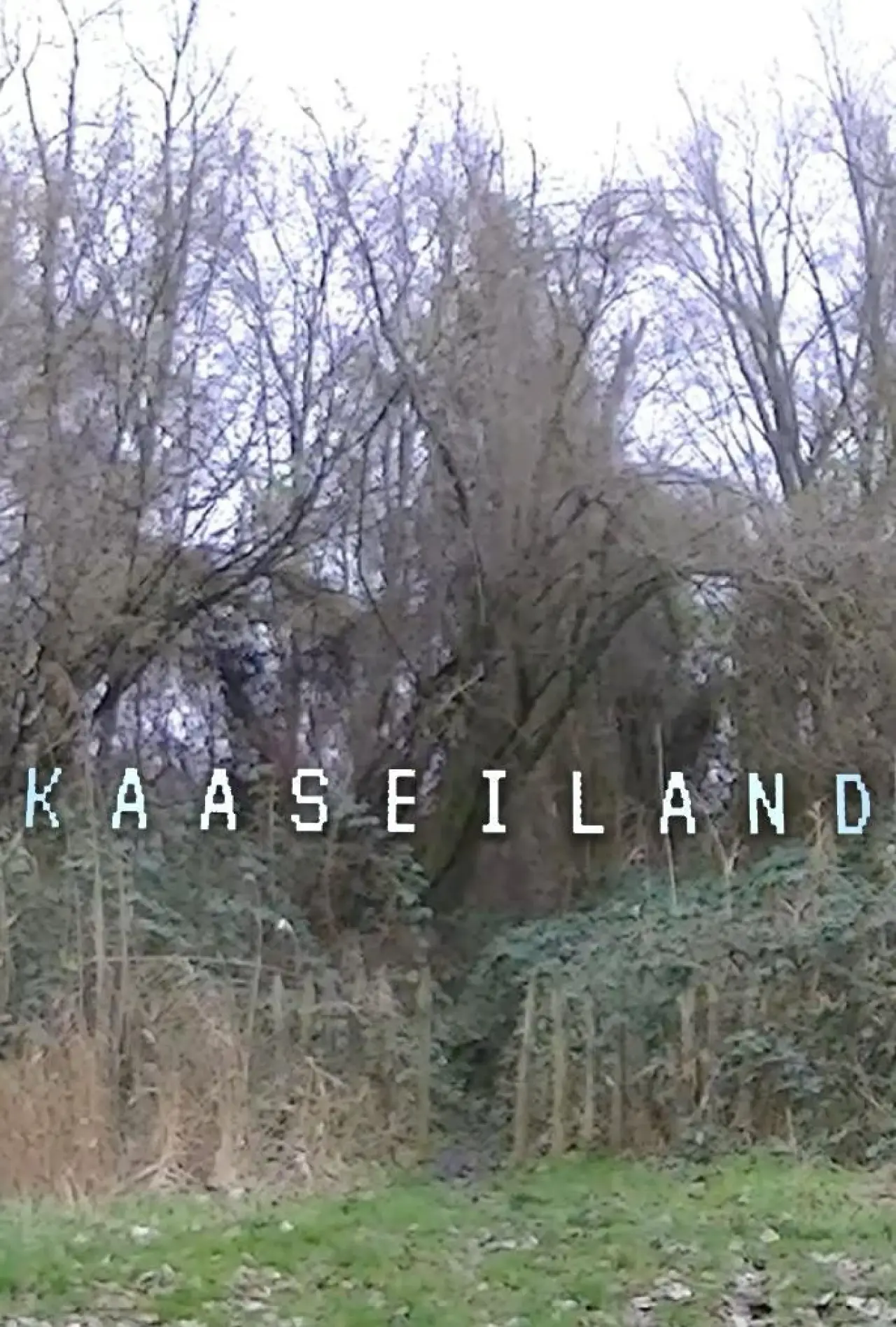 Plakat filmowy "Kaaseiland"