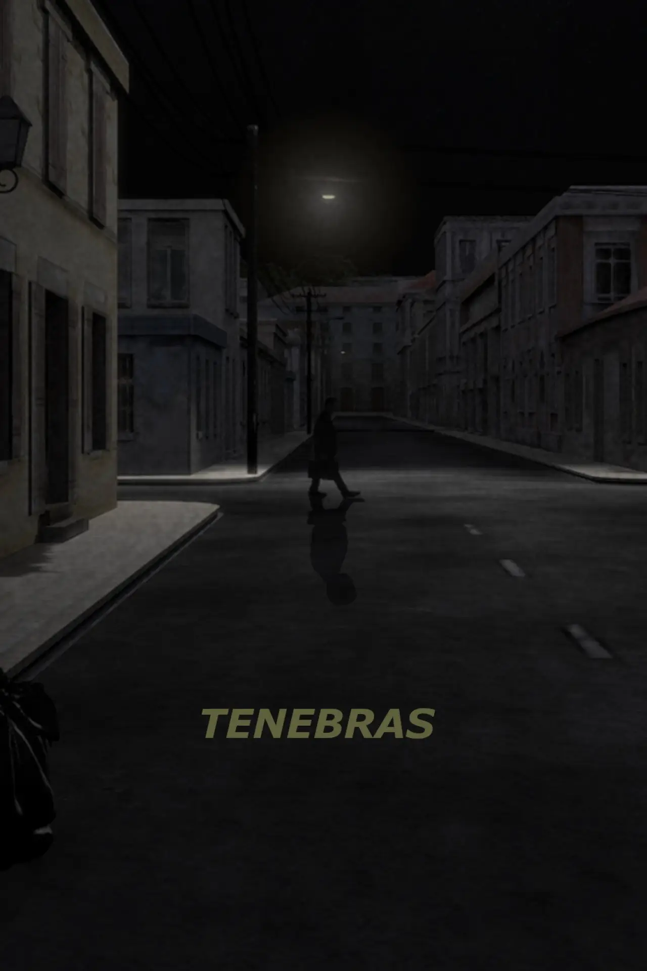 Plakat filmowy "Tenebras"