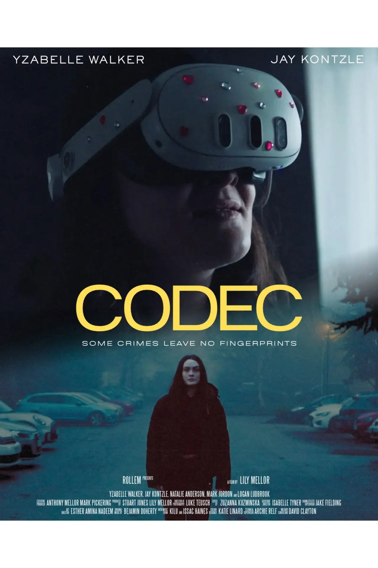Plakat filmowy "Codec"