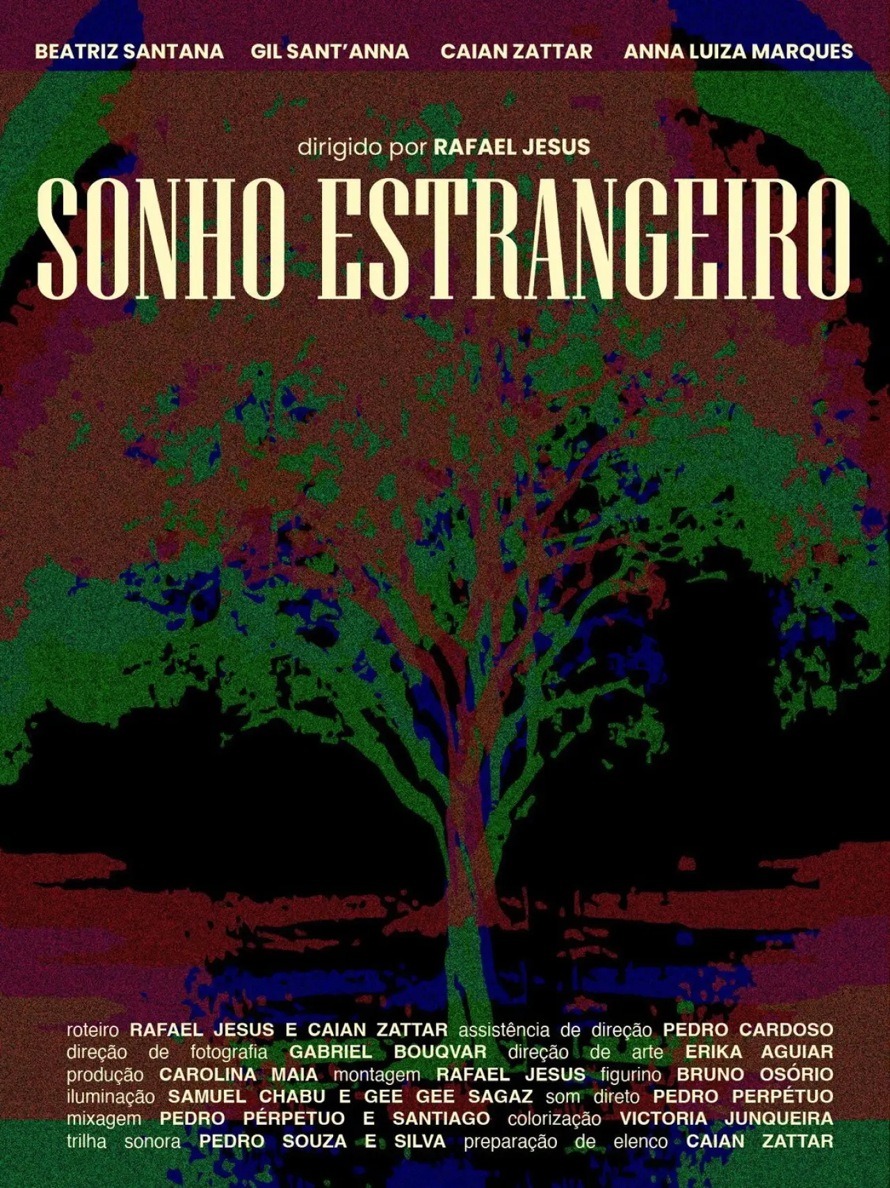 Plakat filmowy "Sonho Estrangeiro"