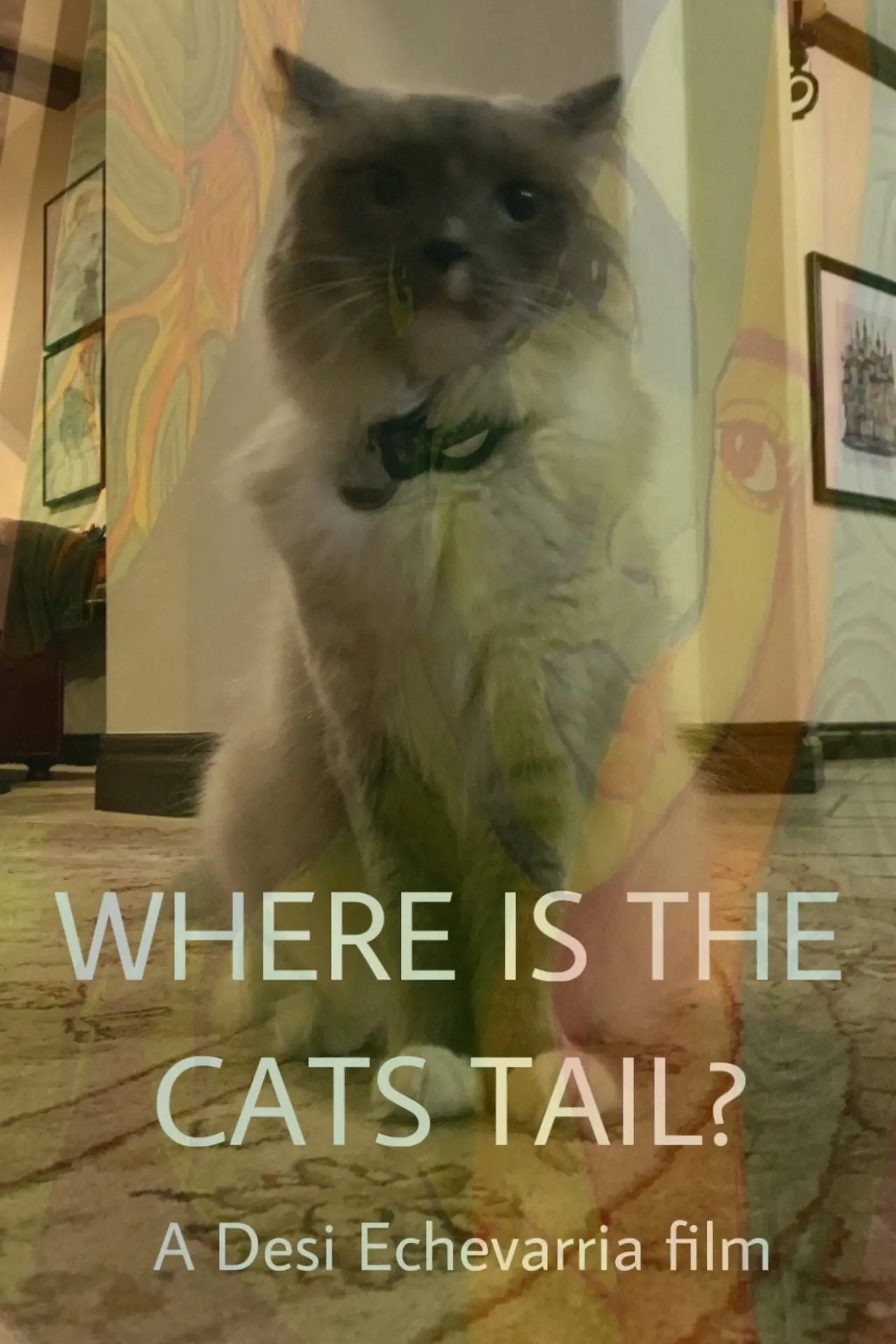 Plakat filmowy "Where Is The Cat