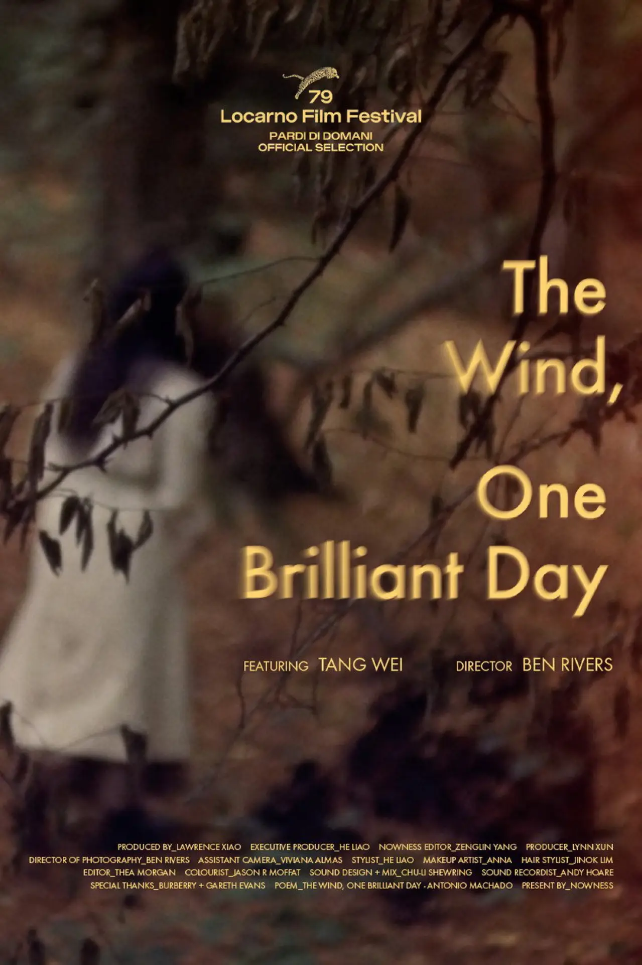 Plakat filmowy "The Wind, One Brilliant Day"